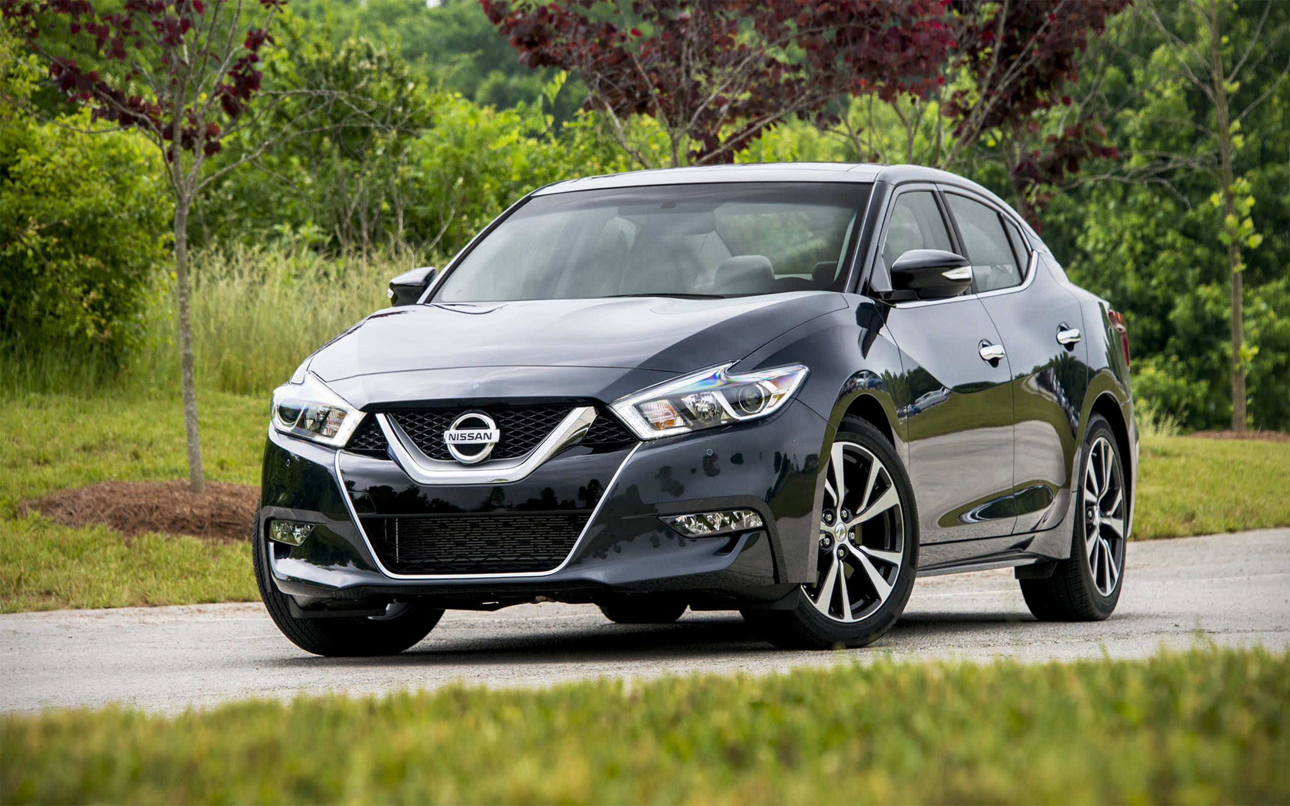 Nissan Maxima, black, daylight, 2K Desktop Wallpaper