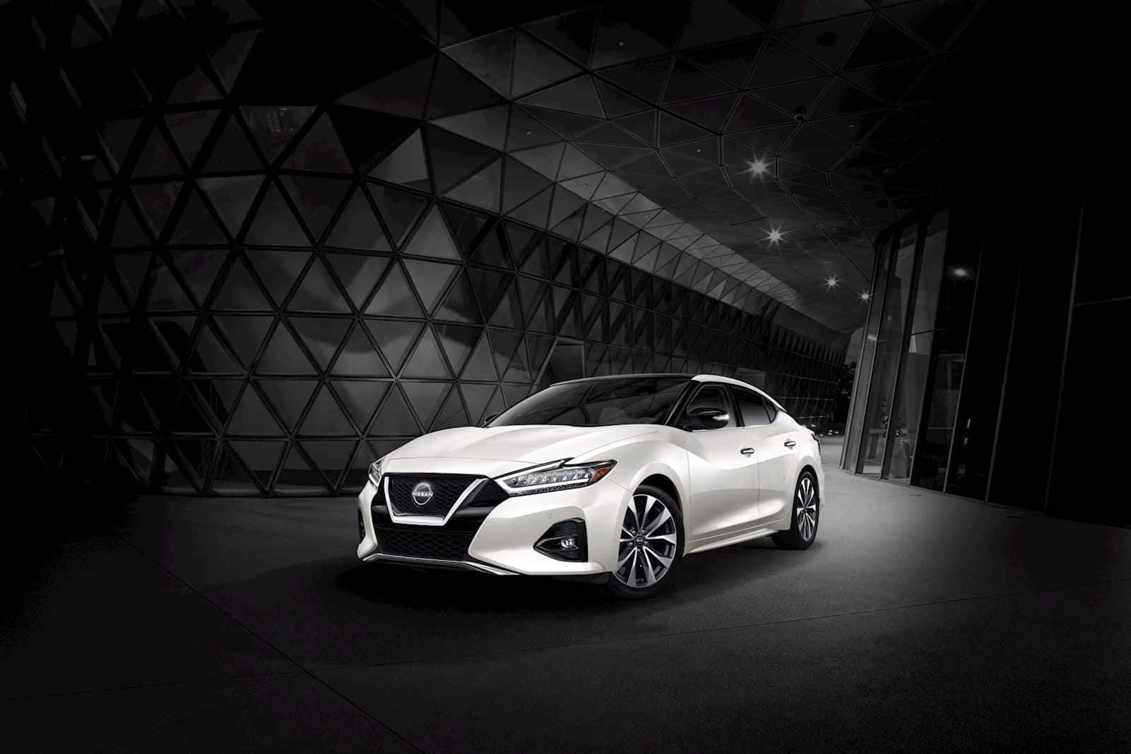 Nissan Maxima, white, sedan, HD Desktop Wallpaper