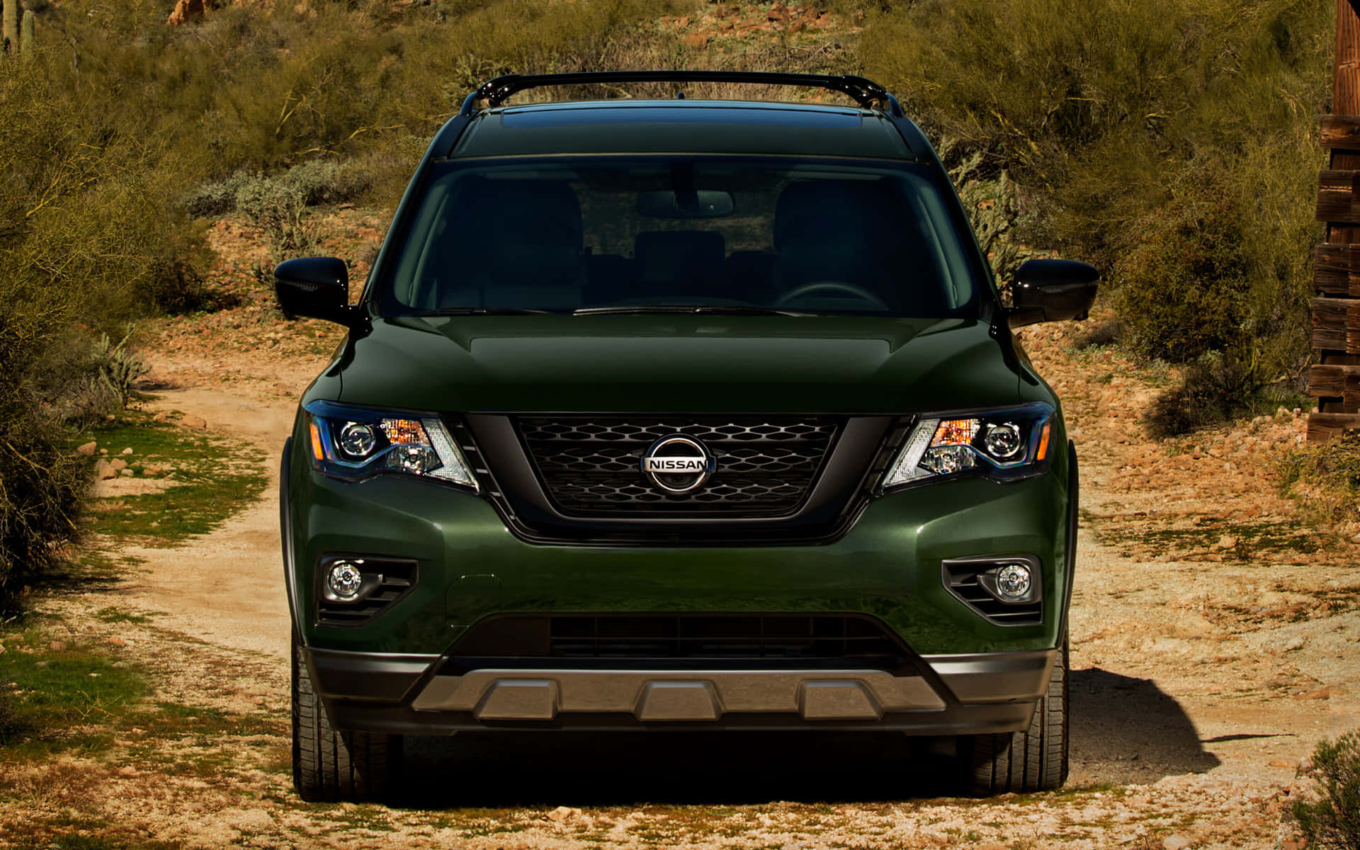 Nissan Pathfinder, dark green, sunlit dirt path, Full HD Desktop Wallpaper