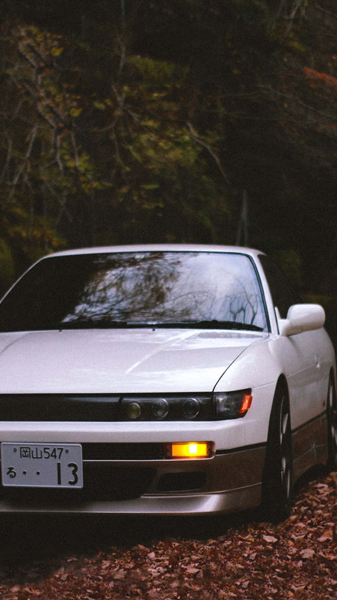 Nissan Silvia S13, white, forest floor, Full HD Phone Wallpaper