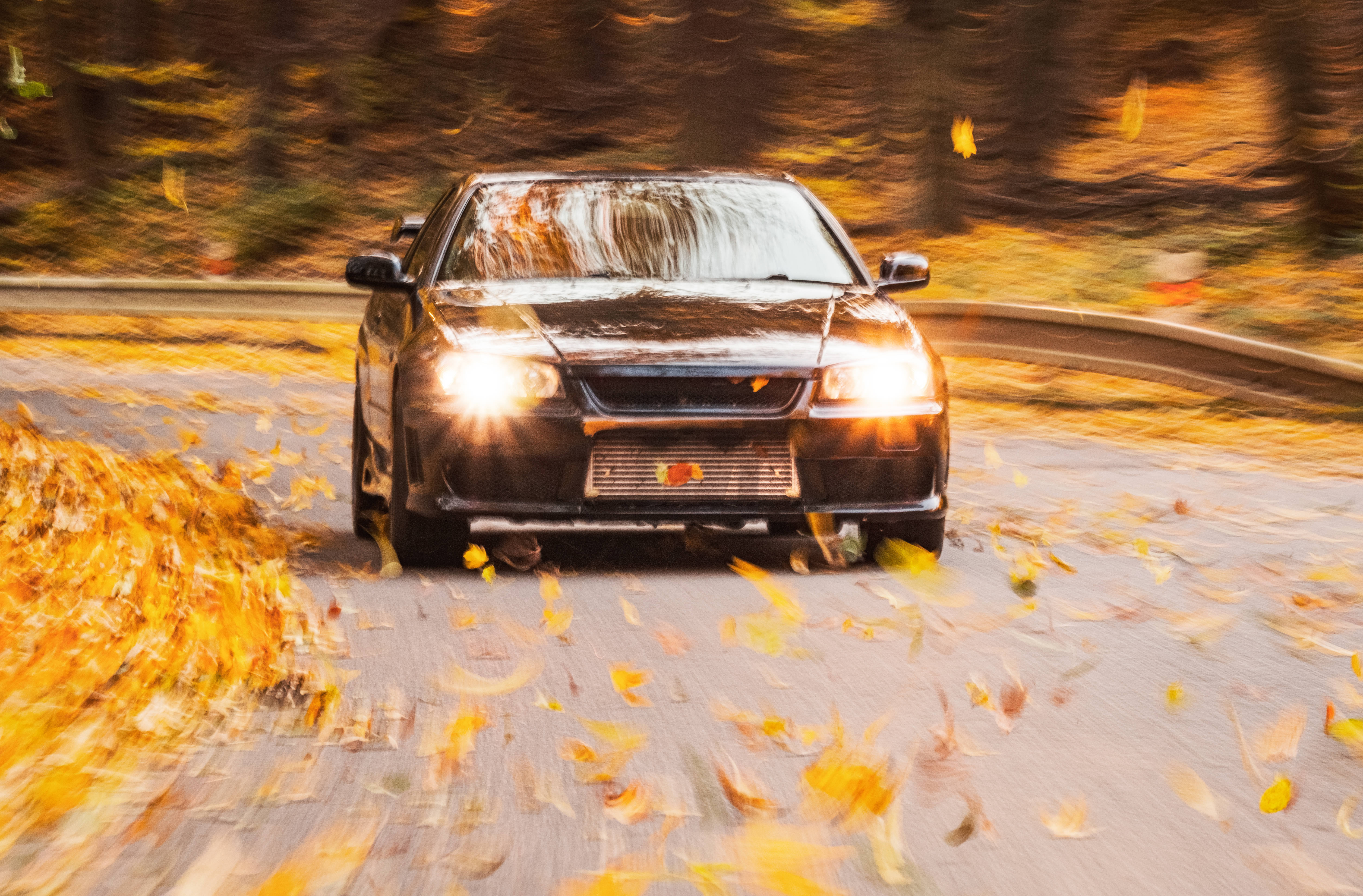 Nissan Skyline GTR R34, black sports car, golden autumn forest, 5K Desktop Wallpaper