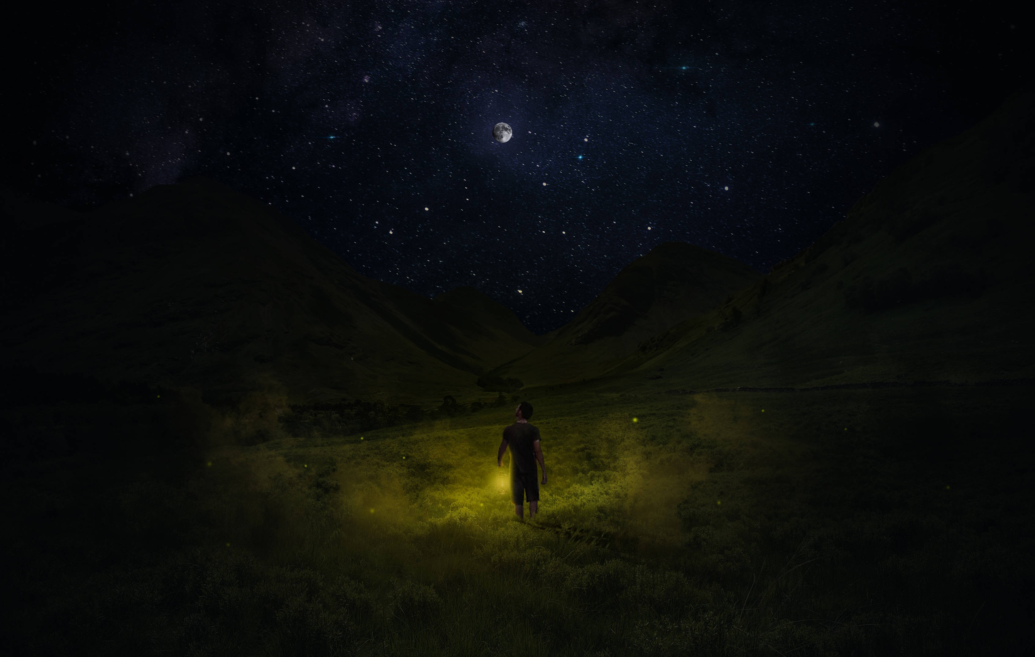 No Man's Sky, starlit valley, night, 2K Desktop Wallpaper