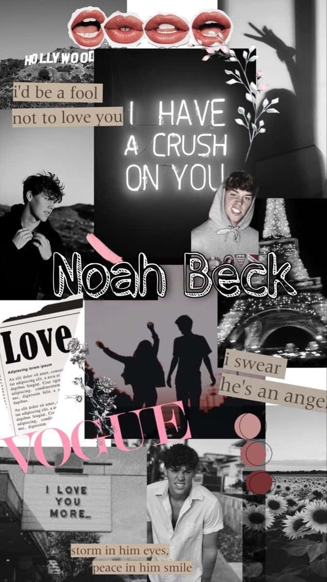 Noah Beck, black and white collage, pink text overlays, SD Phone Wallpaper