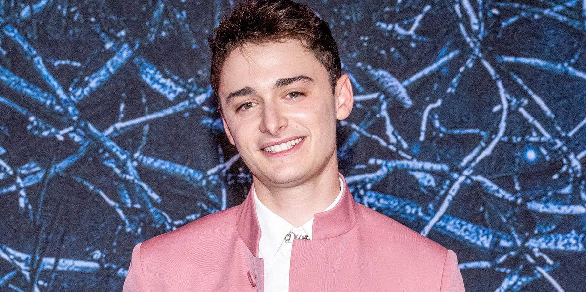 Noah Schnapp, pink jacket, blue abstract branch-patterned backdrop, SD Desktop Wallpaper