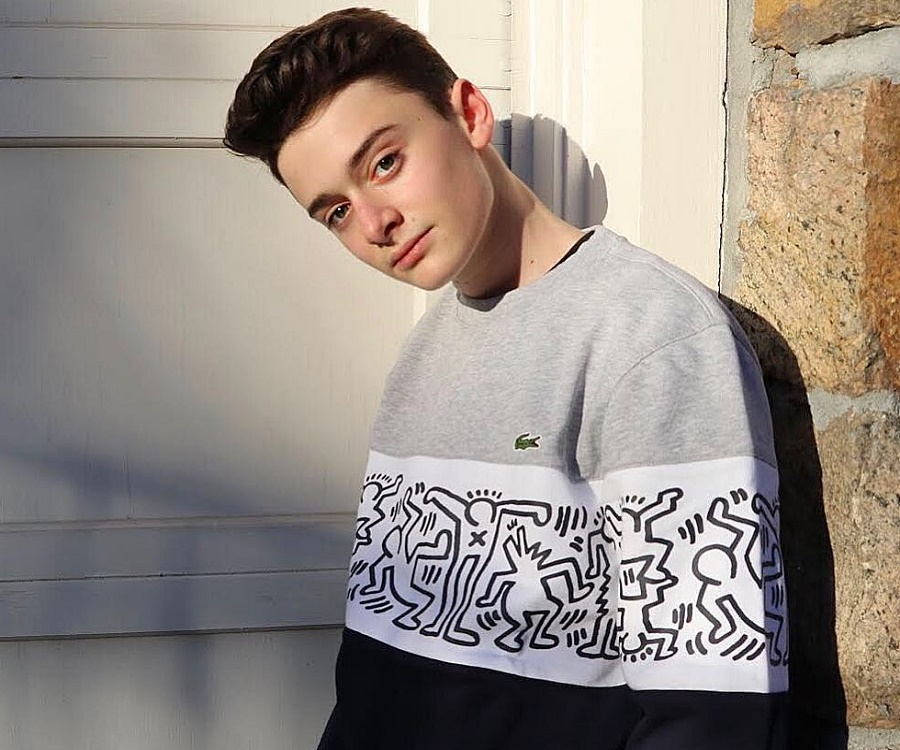 Noah Schnapp, gray and black sweatshirt, Keith Haring-style graphics, SD Desktop Wallpaper