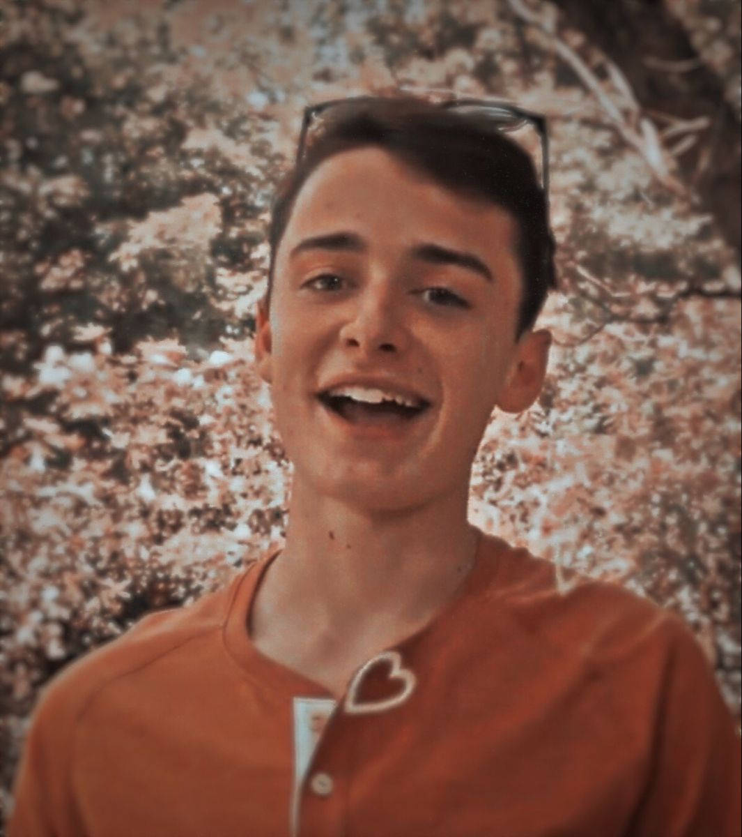 Noah Schnapp, sakura trees, textured brown and white wall, SD Phone Wallpaper