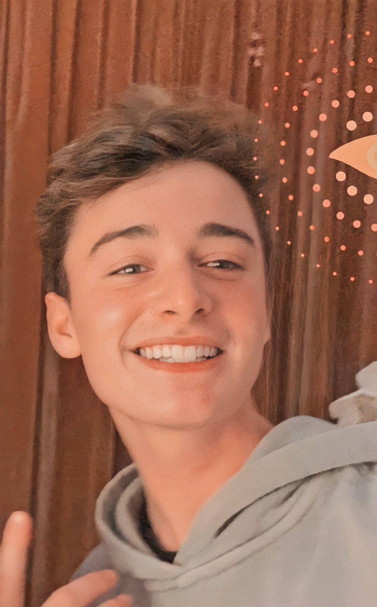 Noah Schnapp, gray hoodie, cozy room, Full HD Phone Wallpaper