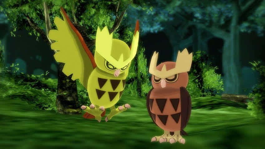 Noctowl, moonlit night, lush green forest, SD Desktop Wallpaper