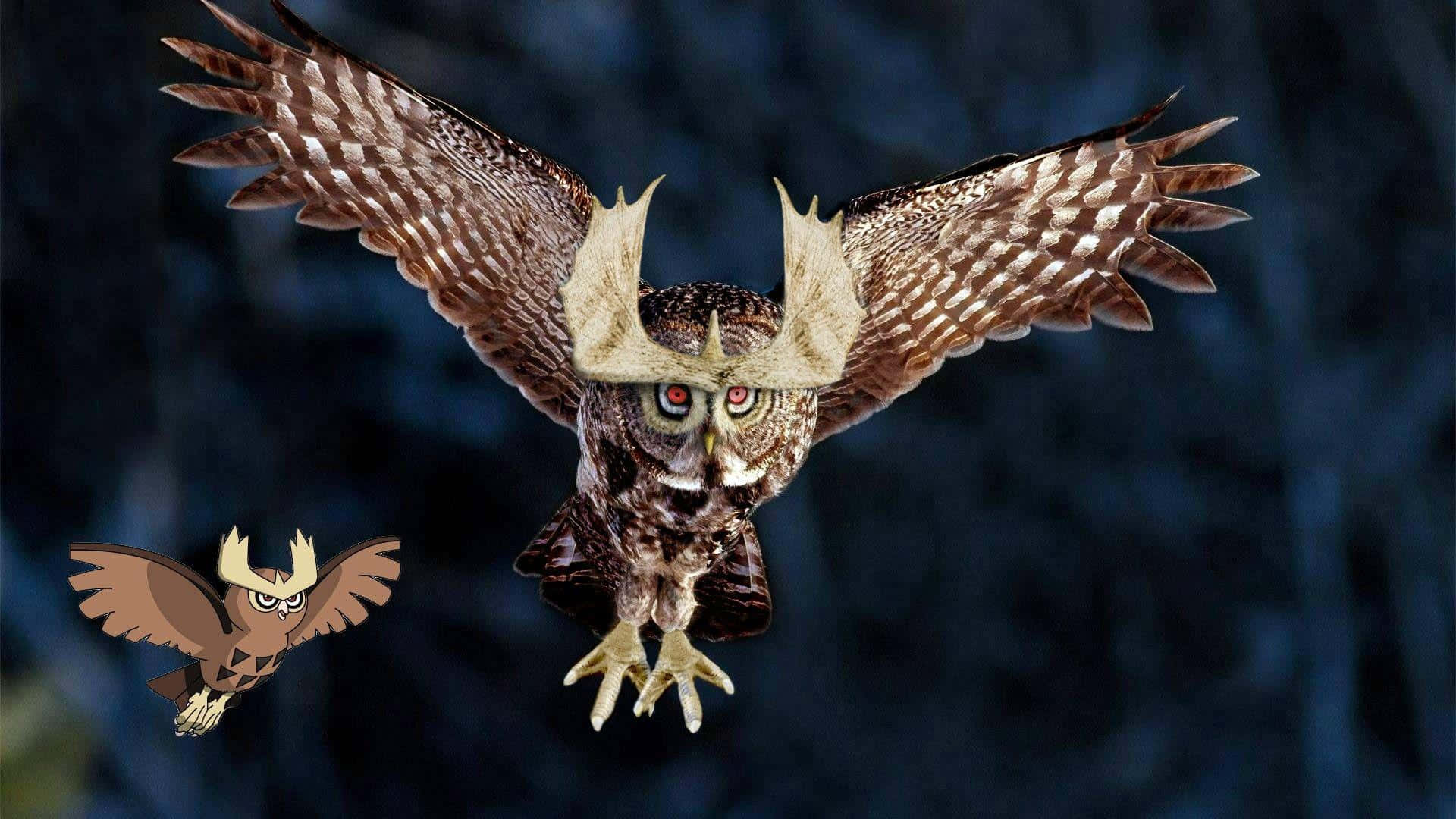 Noctowl, owl, red eyes, Full HD Desktop Wallpaper