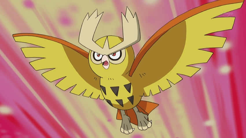 Noctowl, yellow wings, angry eyes, SD Desktop Wallpaper