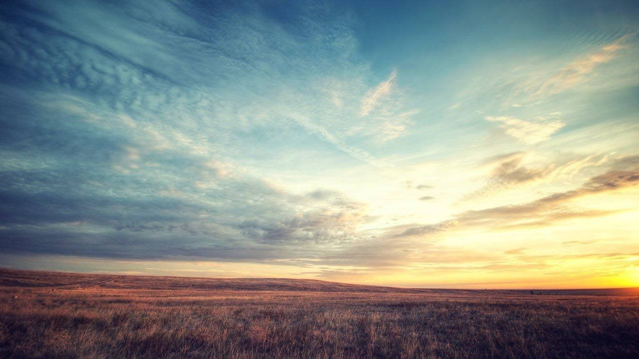 golden grassland, dramatic sky, sunset hues, HD Desktop Wallpaper