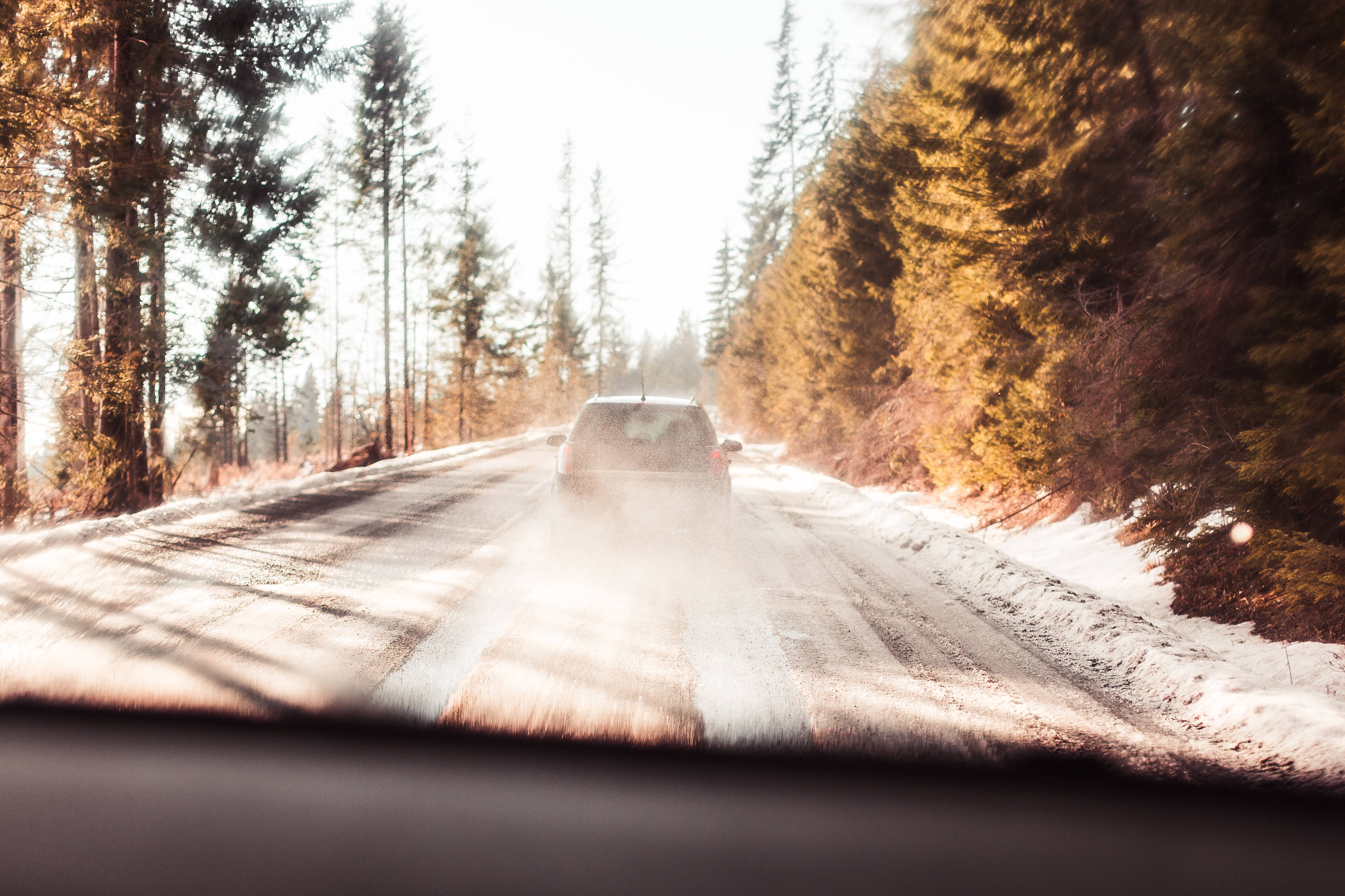 Nordic Forest, snowy forest road, golden morning light, 4K Desktop Wallpaper