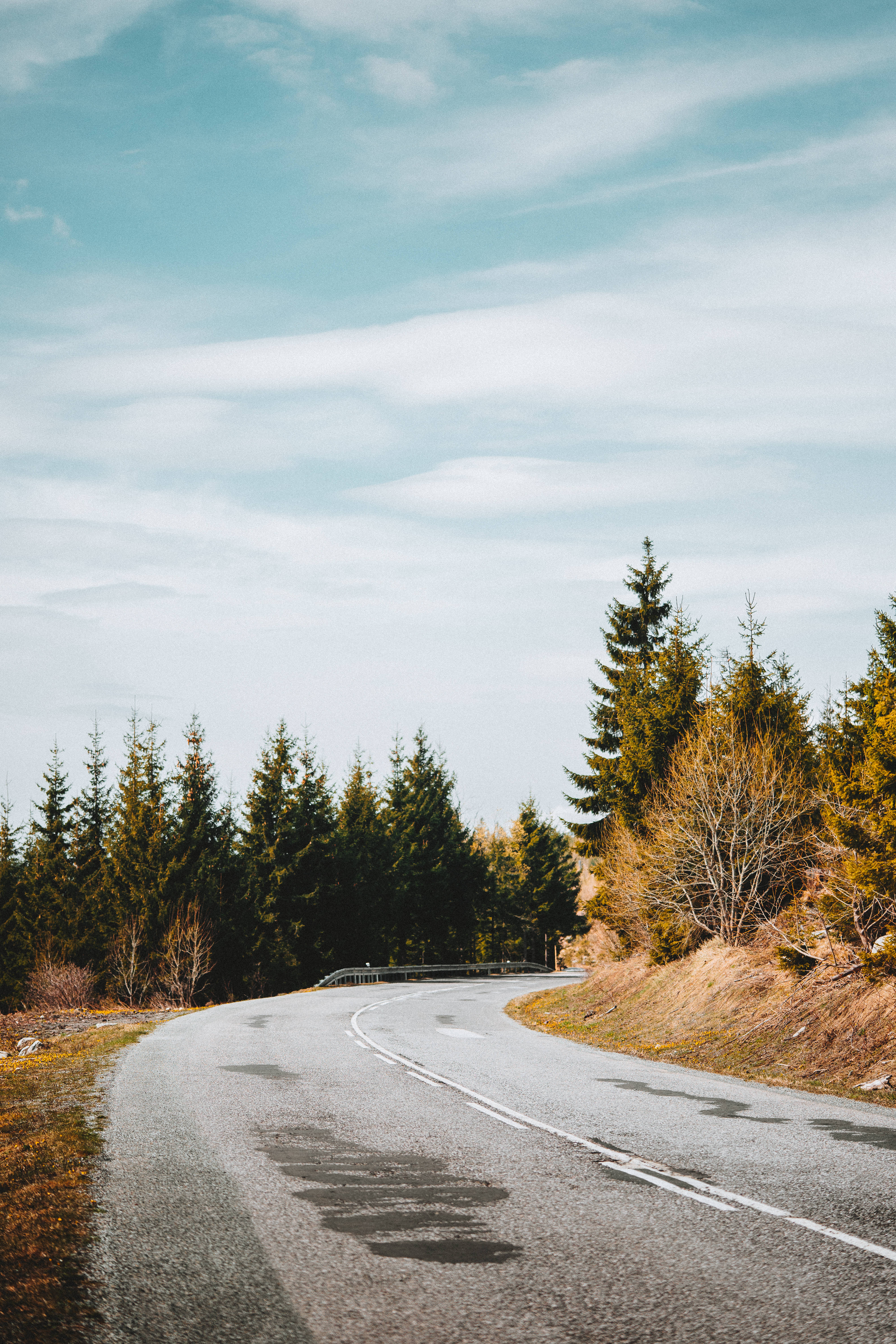 curved road, Nordic Forest, asphalt road, 5K Phone Wallpaper