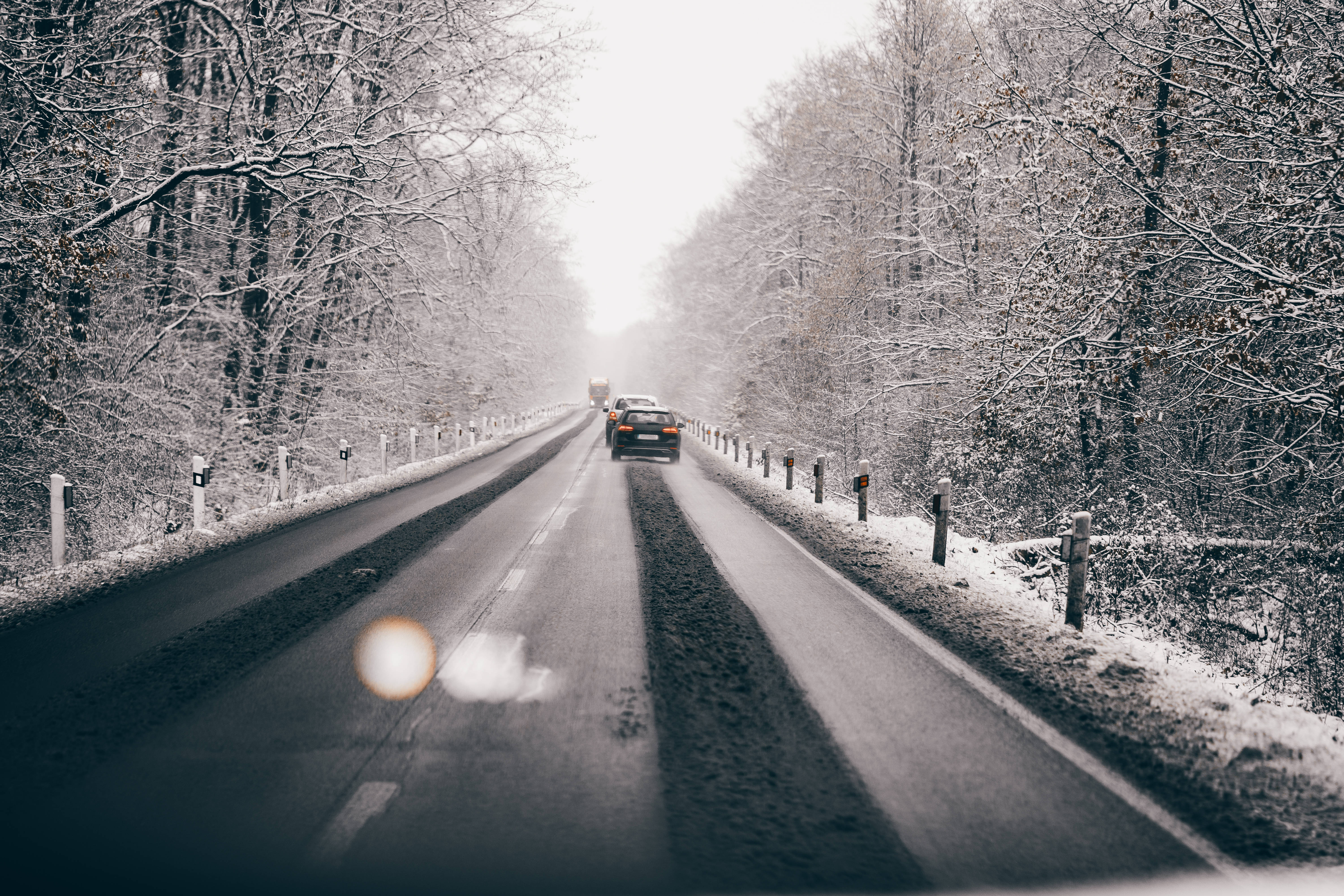 snowy road, Nordic Forest, snow-covered forest road, 5K Desktop Wallpaper
