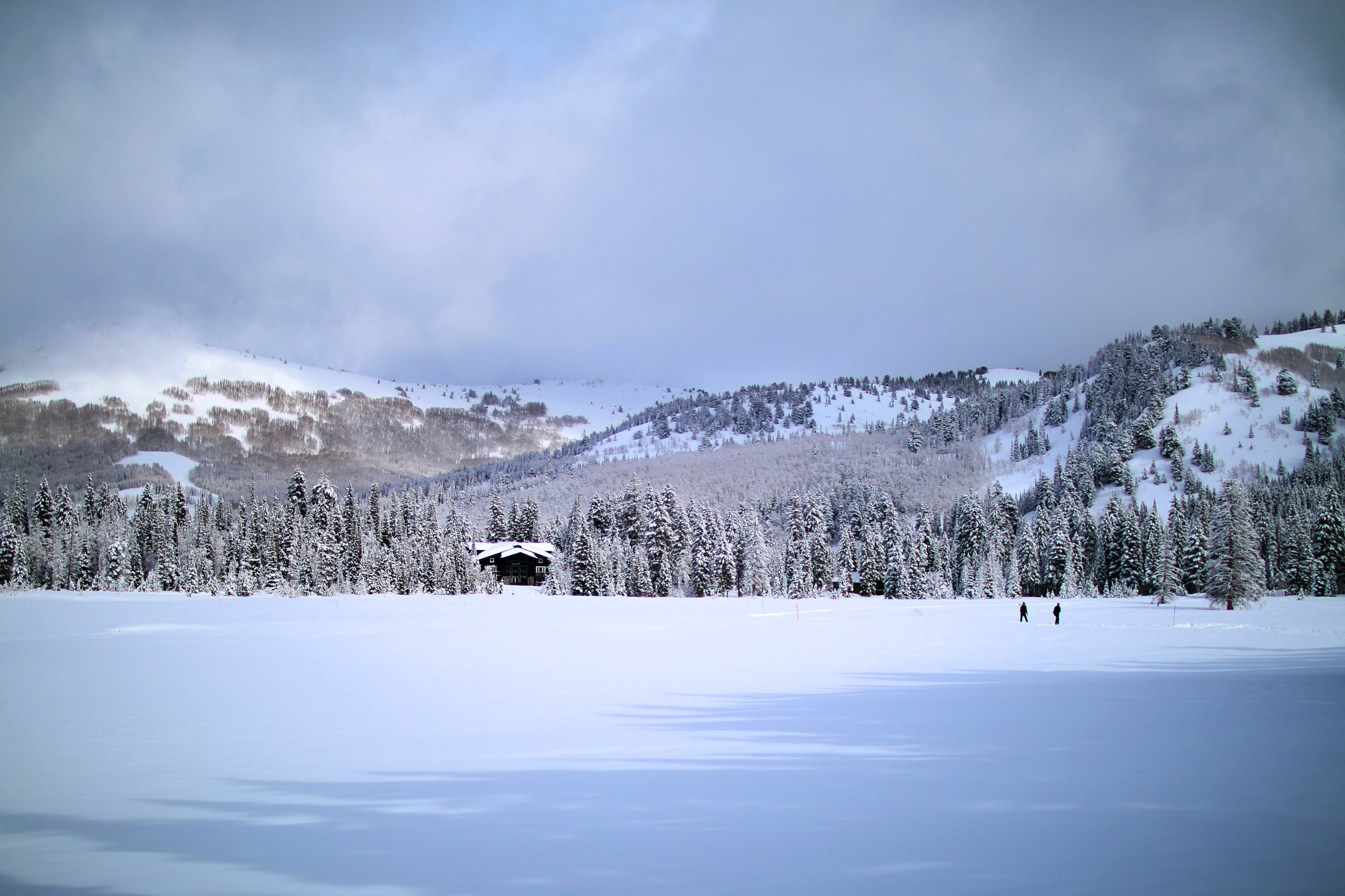 snowy mountain, Nordic Forest, frozen lake, 5K Desktop Wallpaper