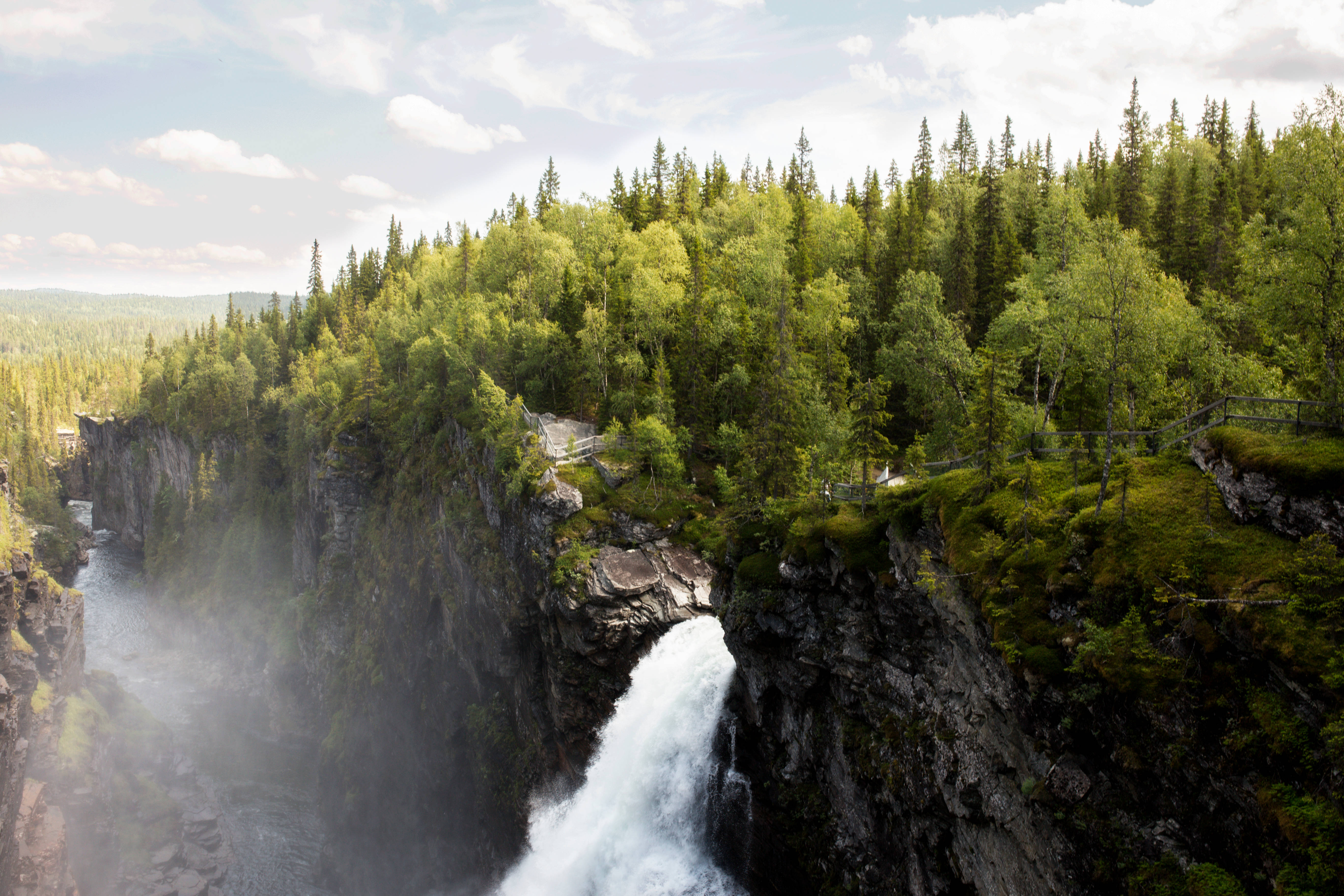 Nordic Forest, waterfall, misty gorge, 5K Desktop Wallpaper