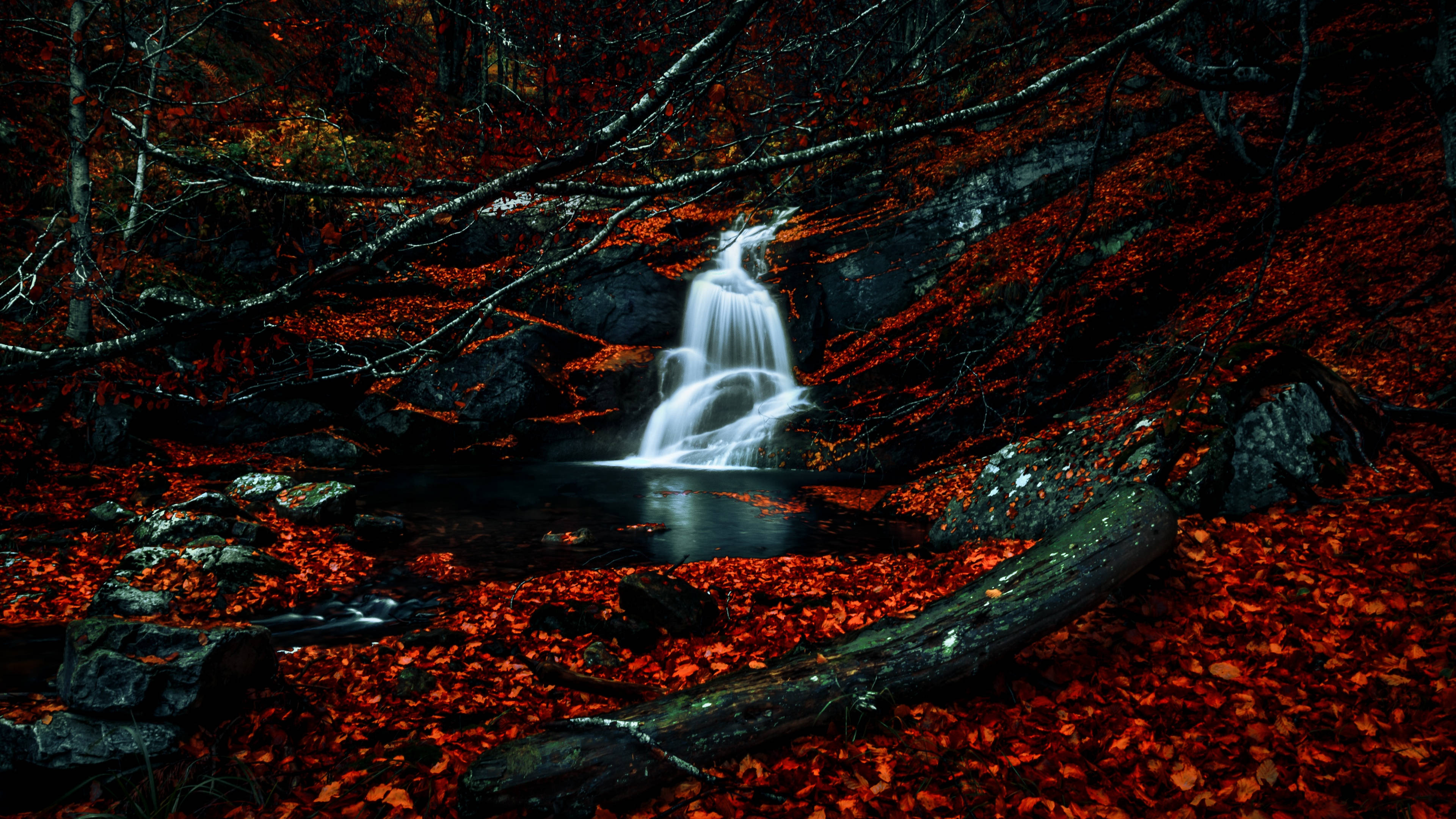 black red 4k forest, autumn waterfall, forest floor, 4K Desktop Wallpaper