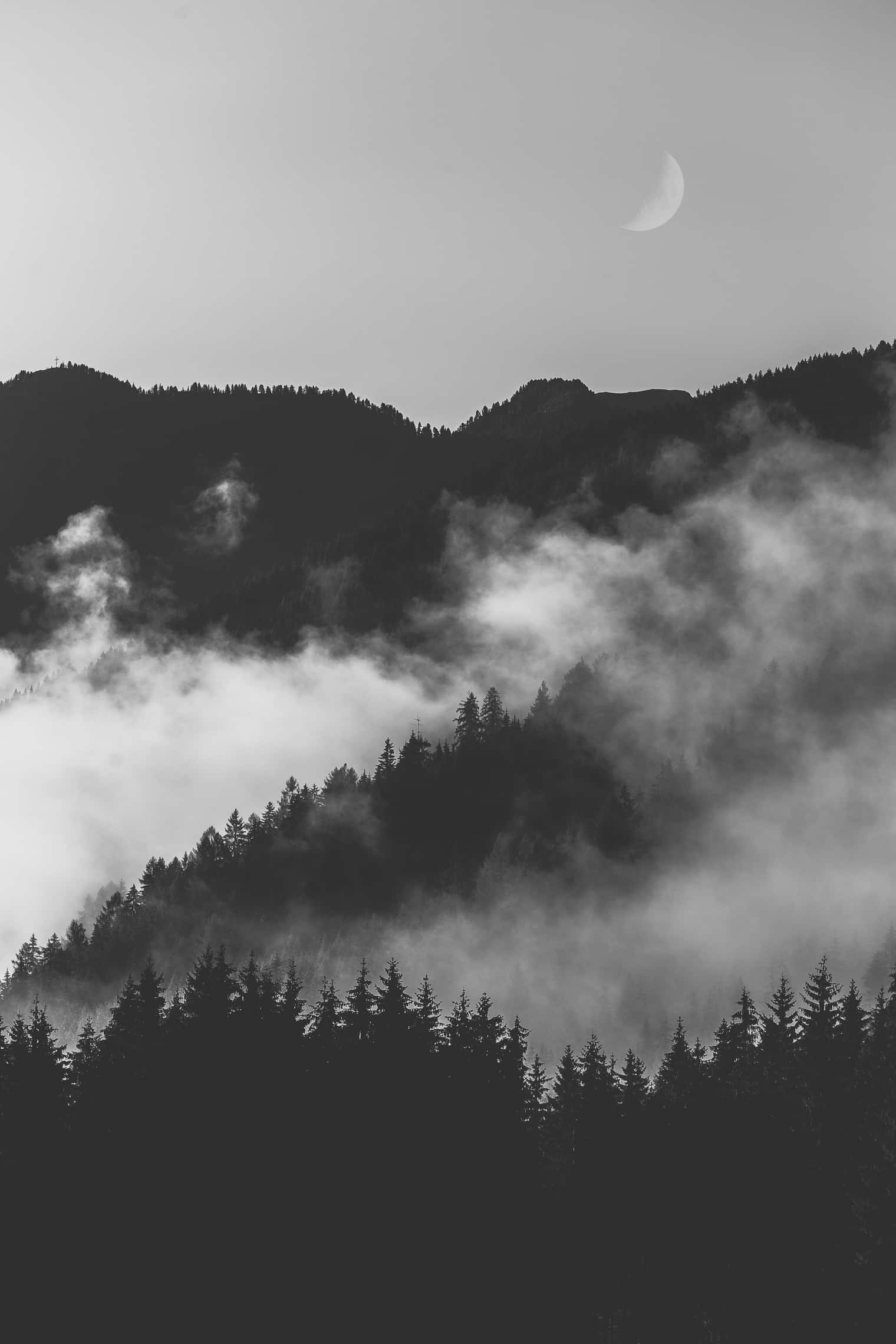 crescent moon, pine forests, mist, Full HD Phone Wallpaper