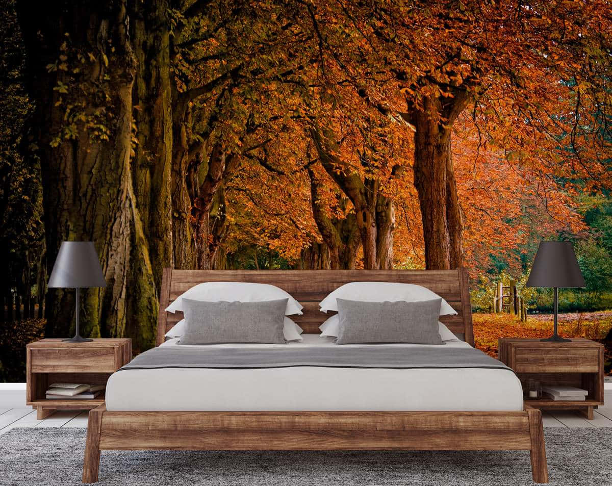 3D forest, wooden bed, gray linens, SD Desktop Wallpaper