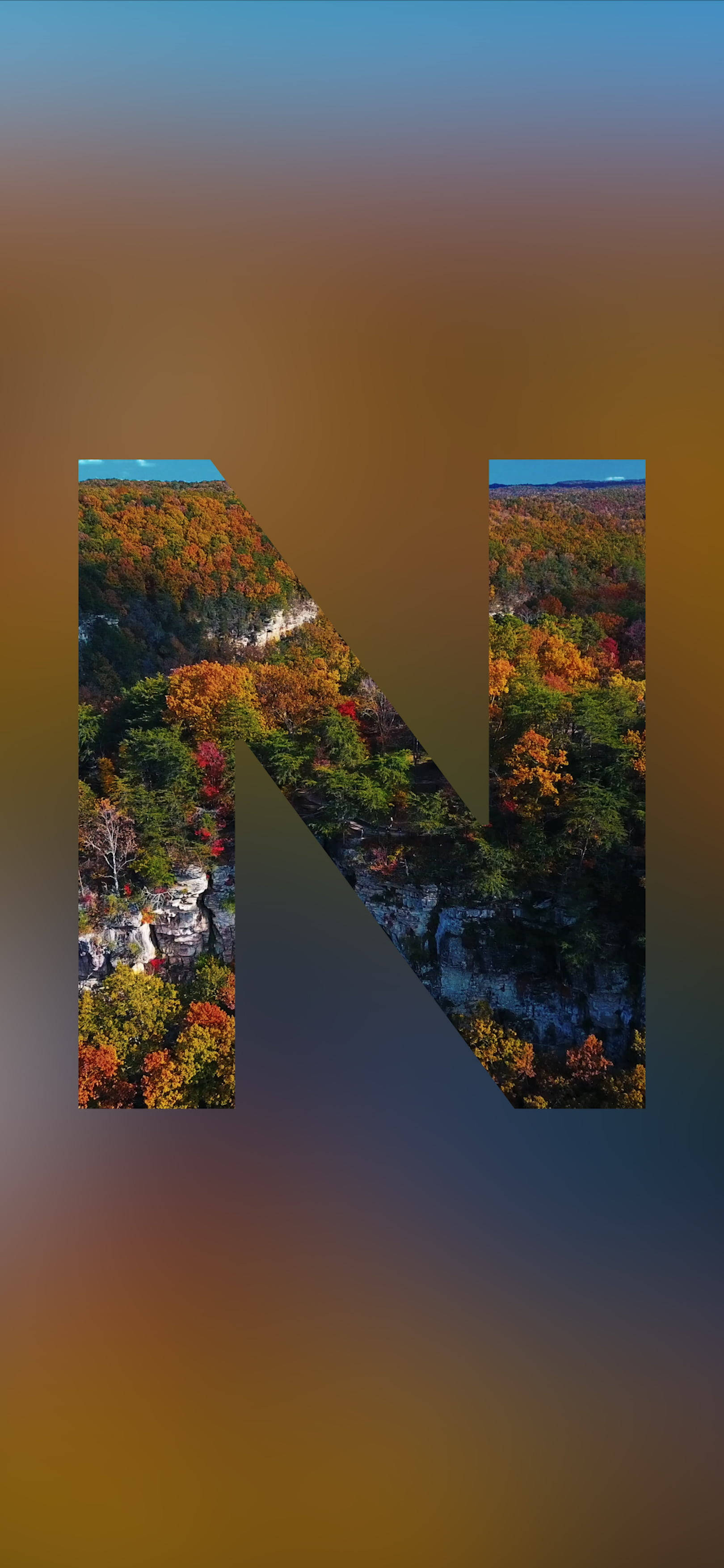 N Nature, autumn forest, colorful trees, 2K Phone Wallpaper