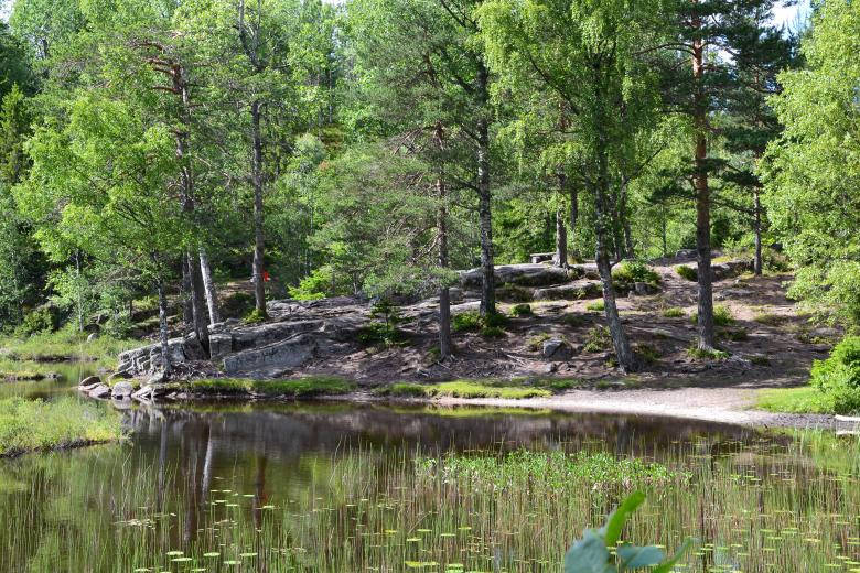 Nordic Forest, lake shore, forest pond, SD Desktop Wallpaper