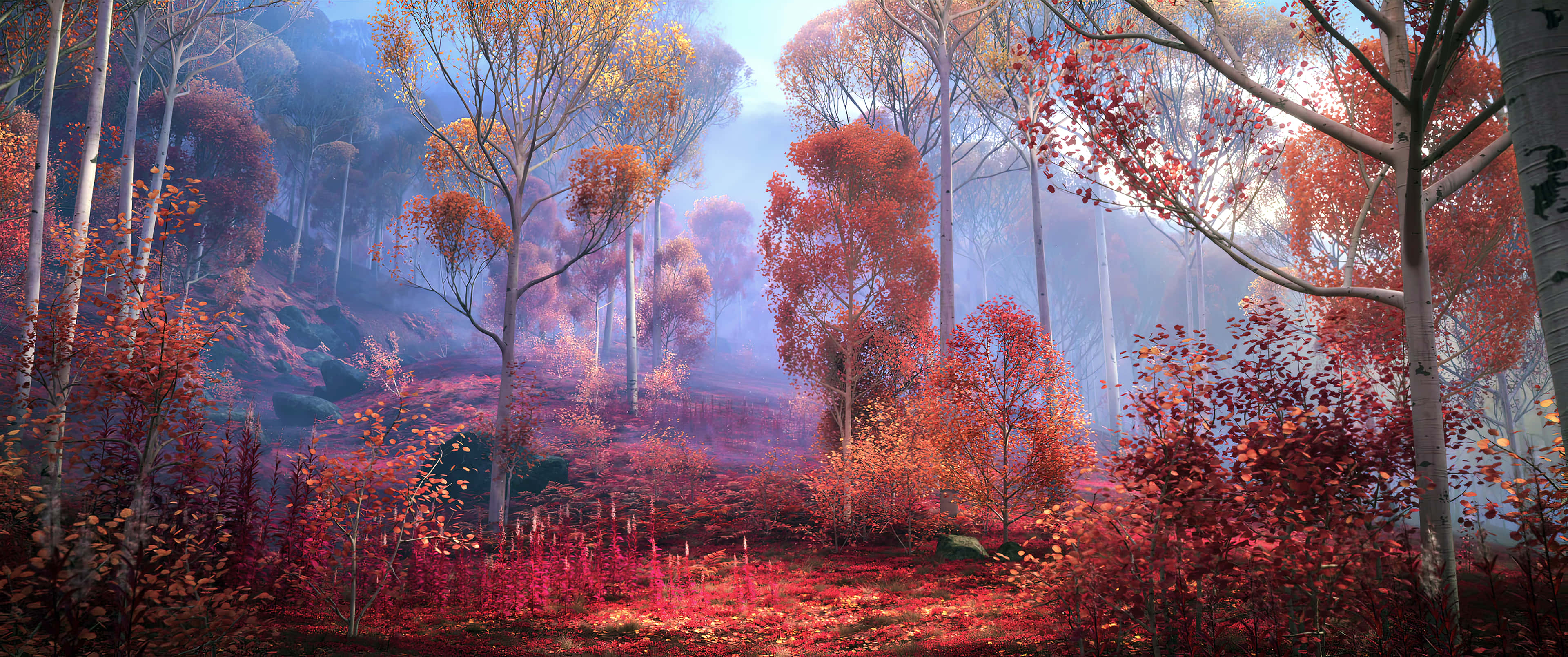 Autumn Season Magical Forest, misty autumn forest, soft light, 4K Desktop Wallpaper