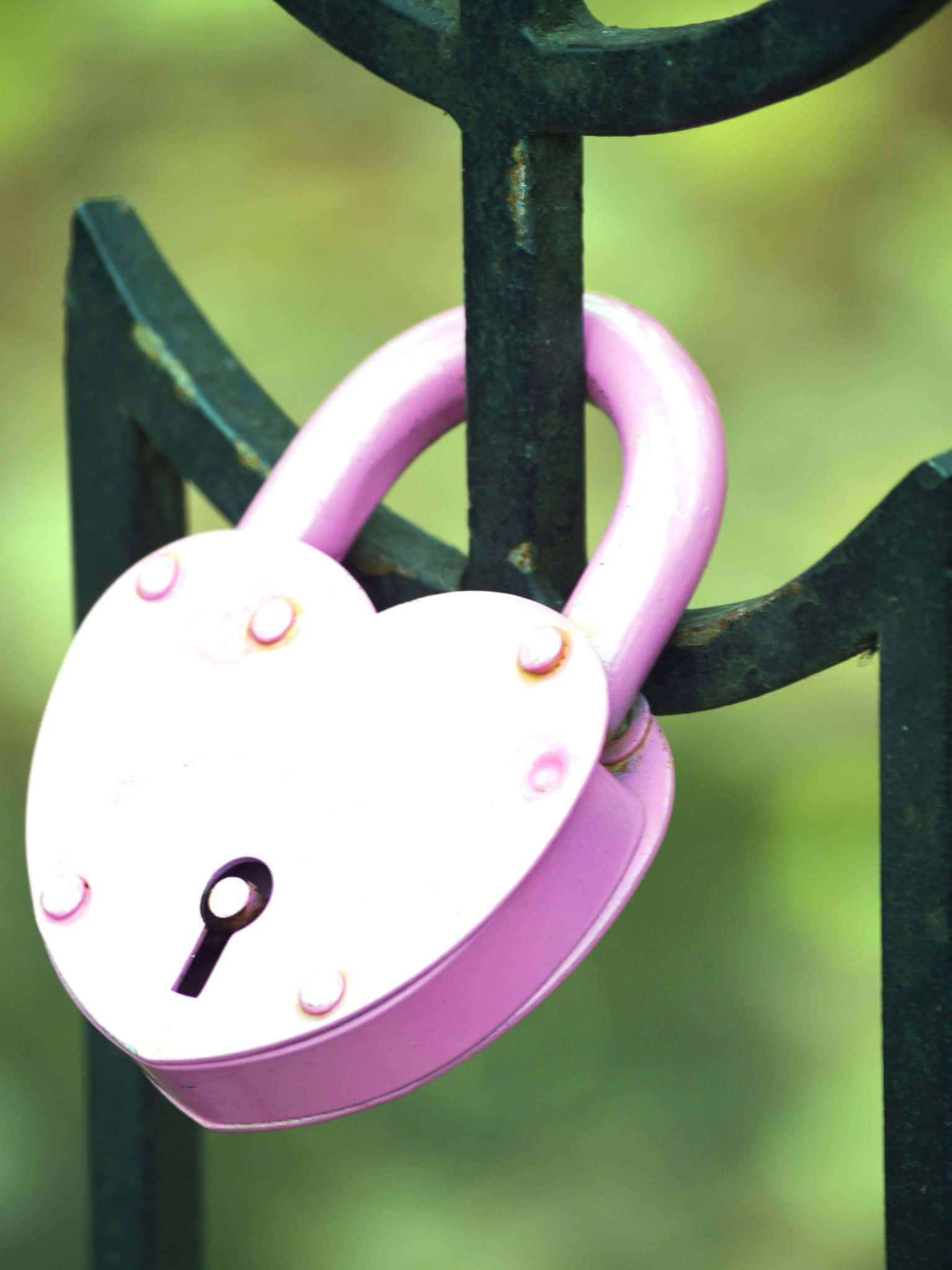 pink heart-shaped padlock, black metal fence, soft green blurred background, Full HD Phone Wallpaper