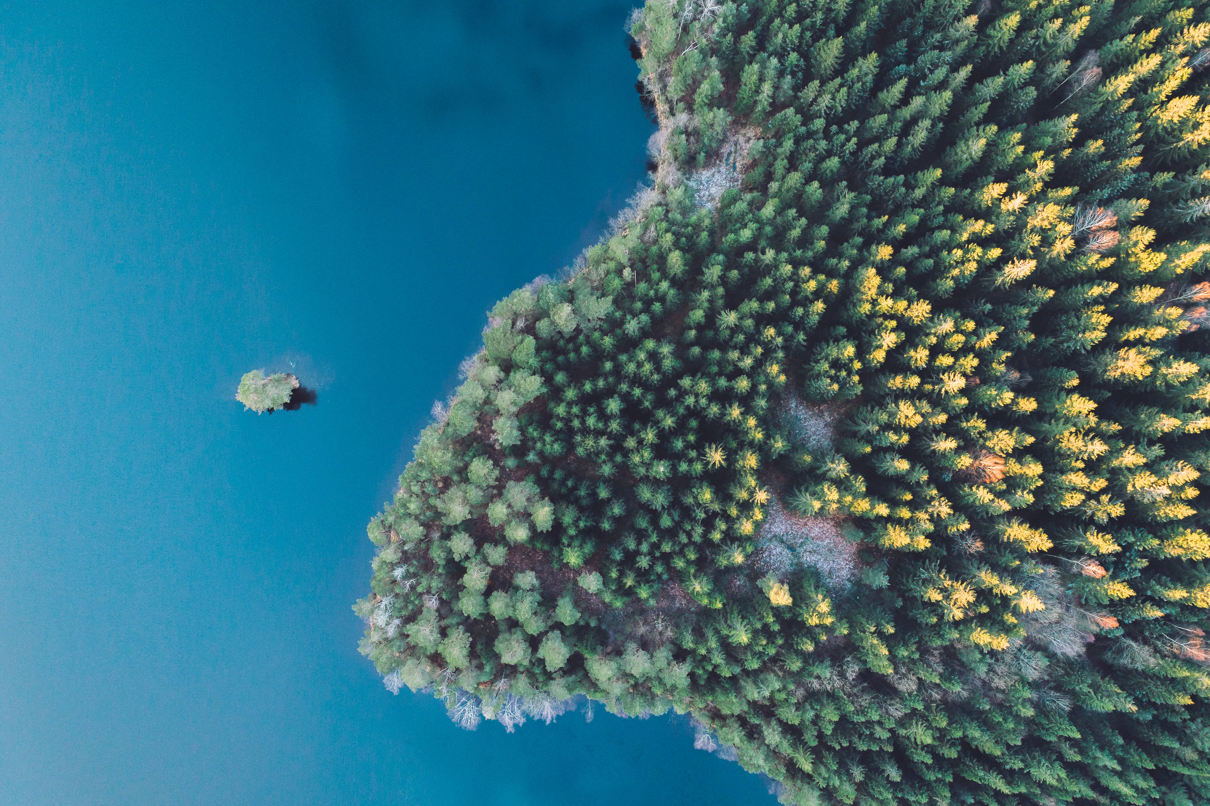 Nordic, forest, lake, 4K Desktop Wallpaper