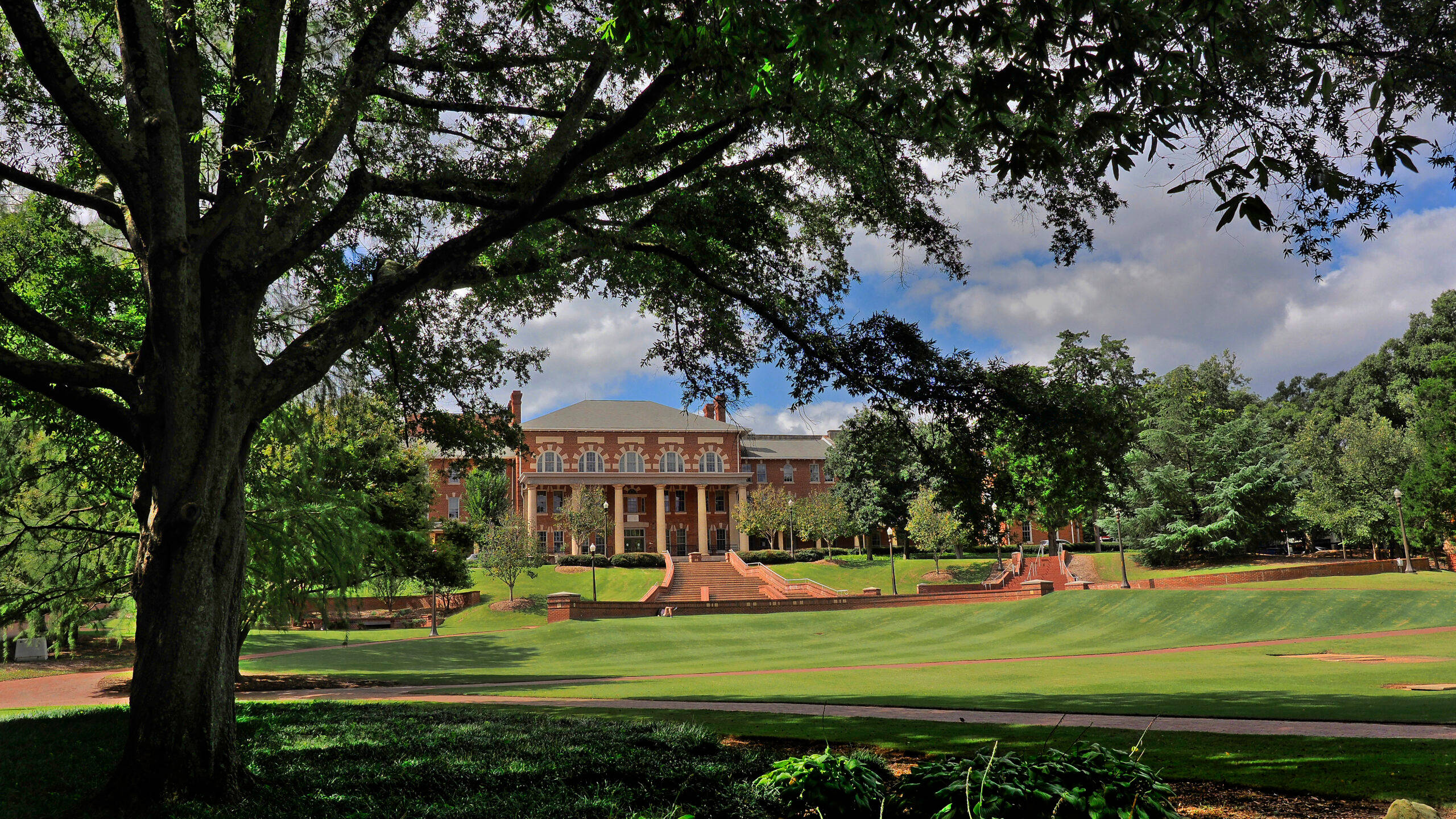 North Carolina State University, brick university building, large tree, 2K Desktop Wallpaper