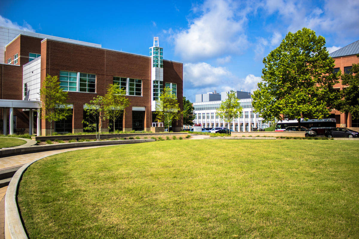North Carolina State University, grassy field, modern brick university building, SD Desktop Wallpaper