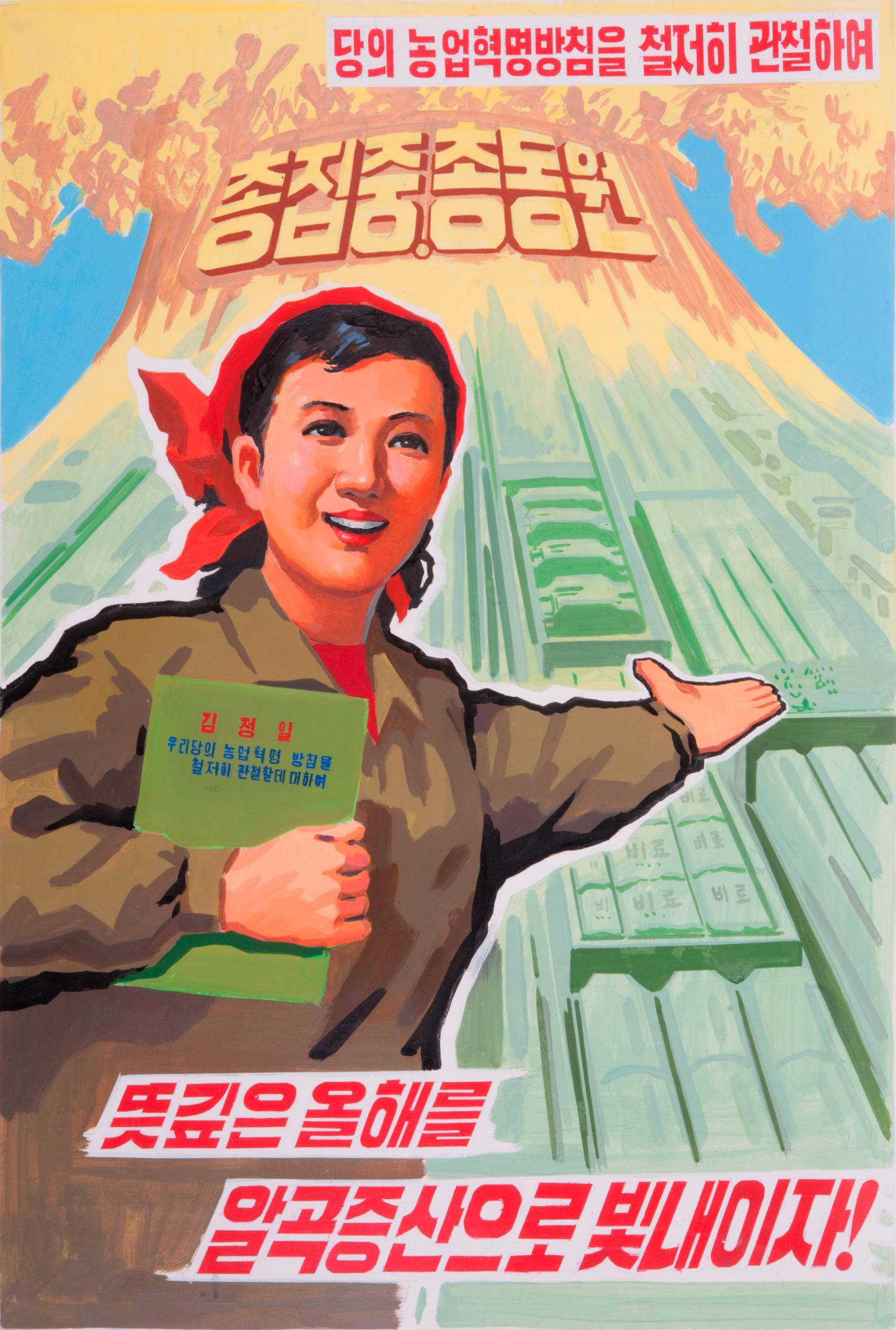 North Korea, red headscarf, green book, Full HD Phone Wallpaper
