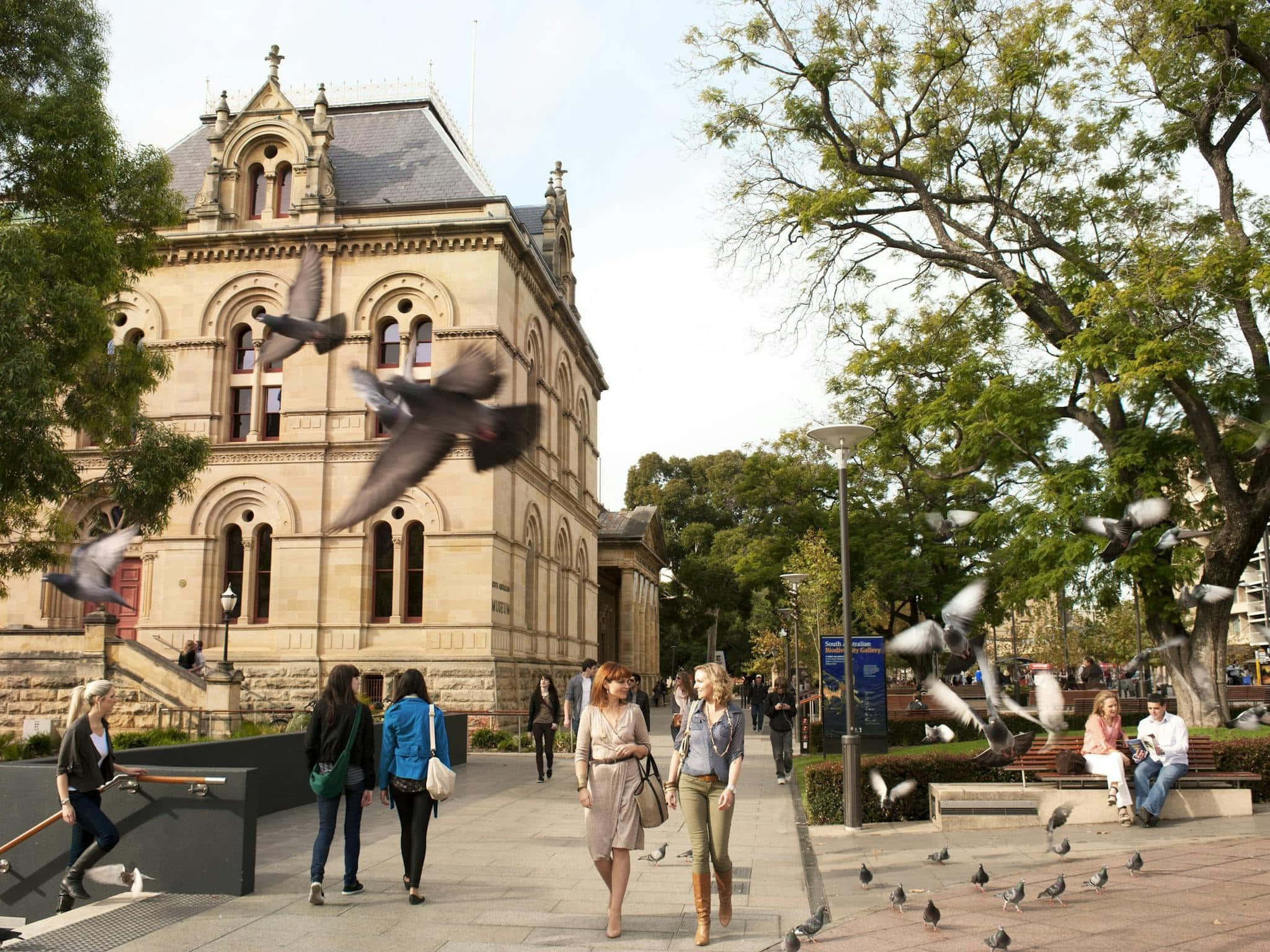 North Terrace Adelaide, bustling street scene, grand stone building, Full HD Desktop Wallpaper