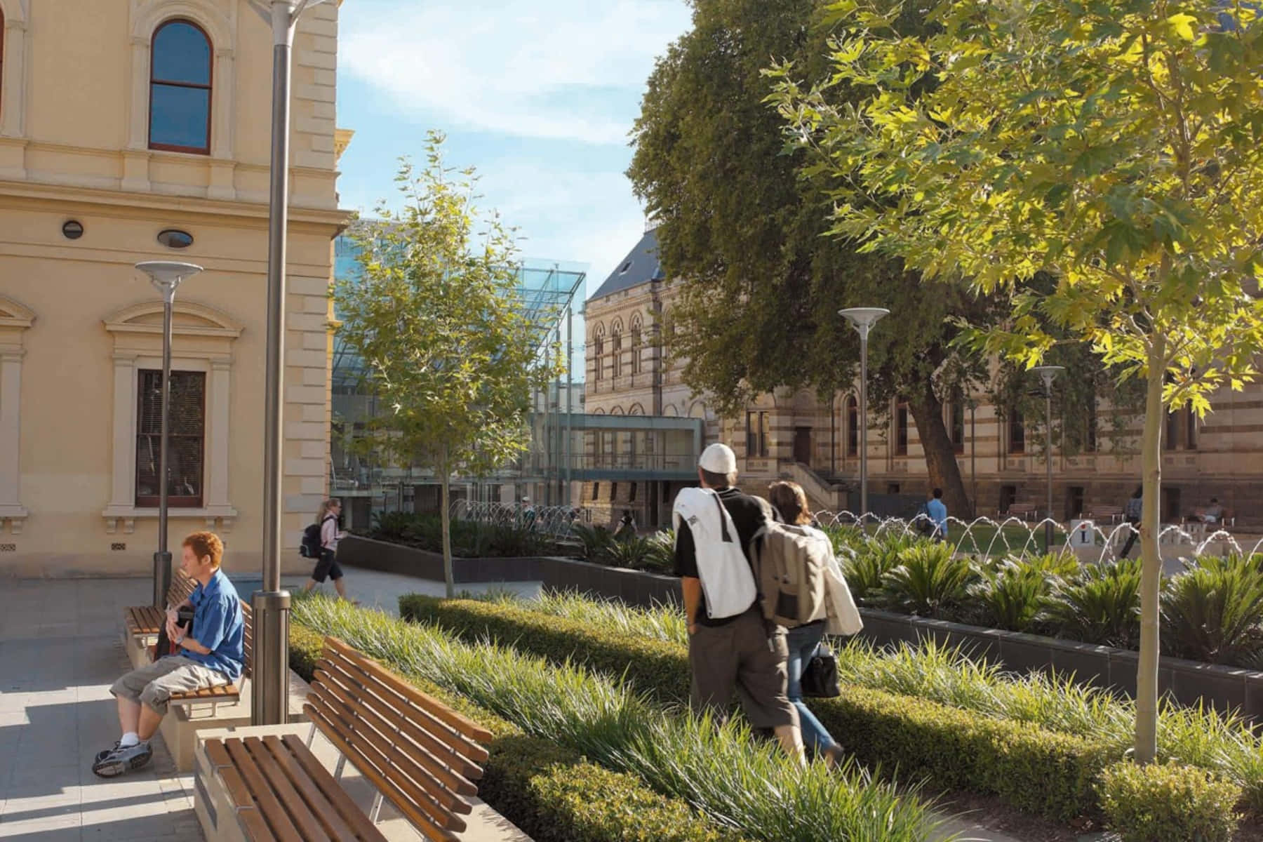 North Terrace Adelaide, wooden benches, sunlit urban plaza, HD Desktop Wallpaper