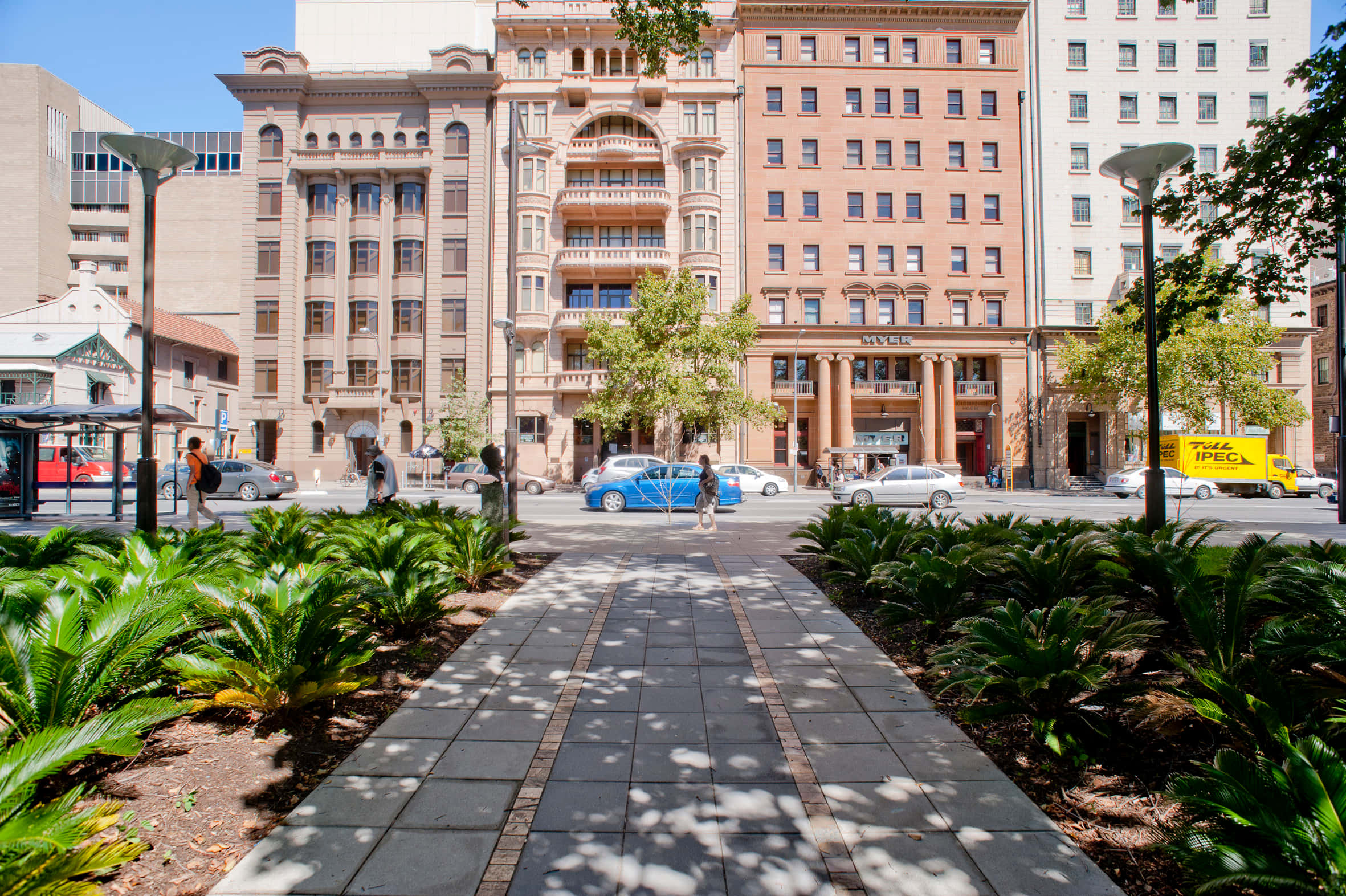 North Terrace Adelaide, urban sidewalk, lush green cycads, Full HD Desktop Wallpaper
