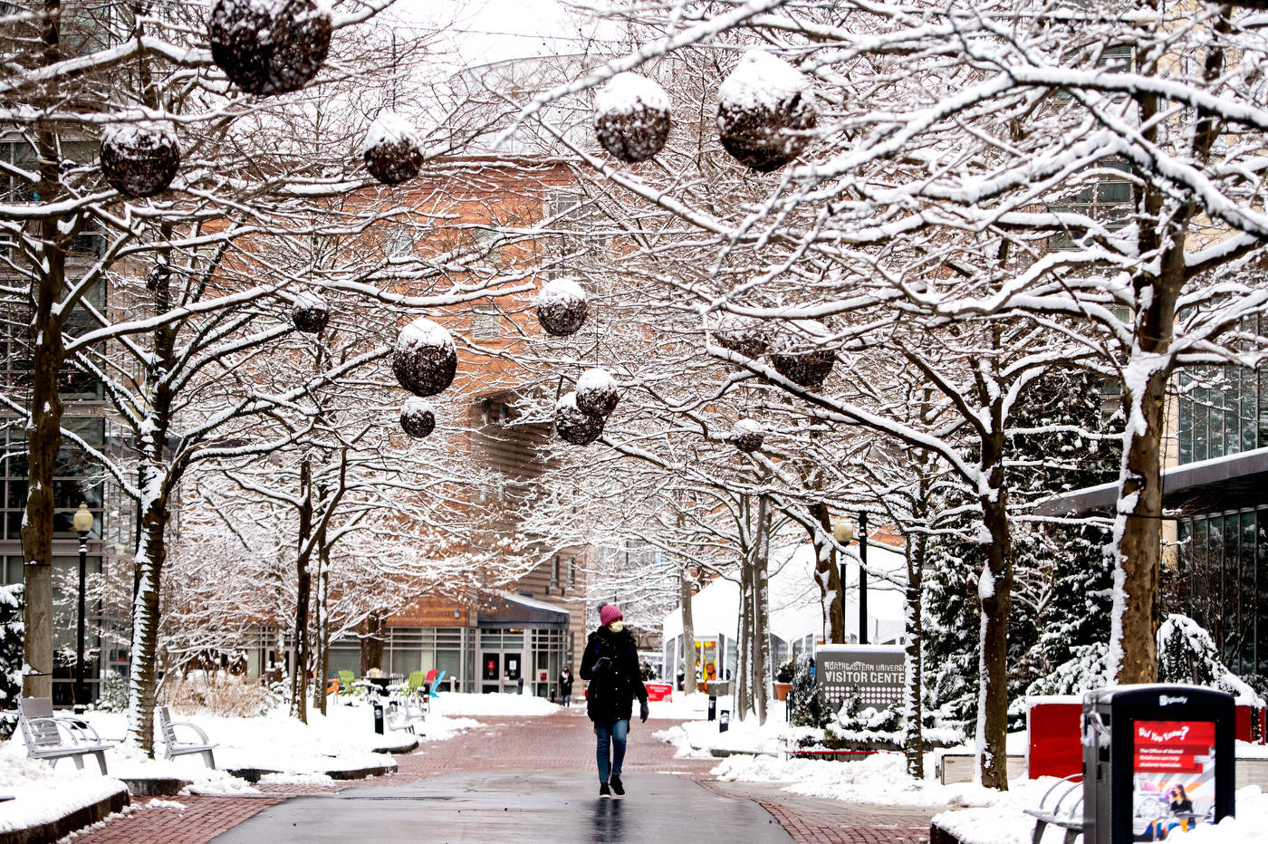 Northeastern University, snowy path, snow-covered urban pathway, HD Desktop Wallpaper