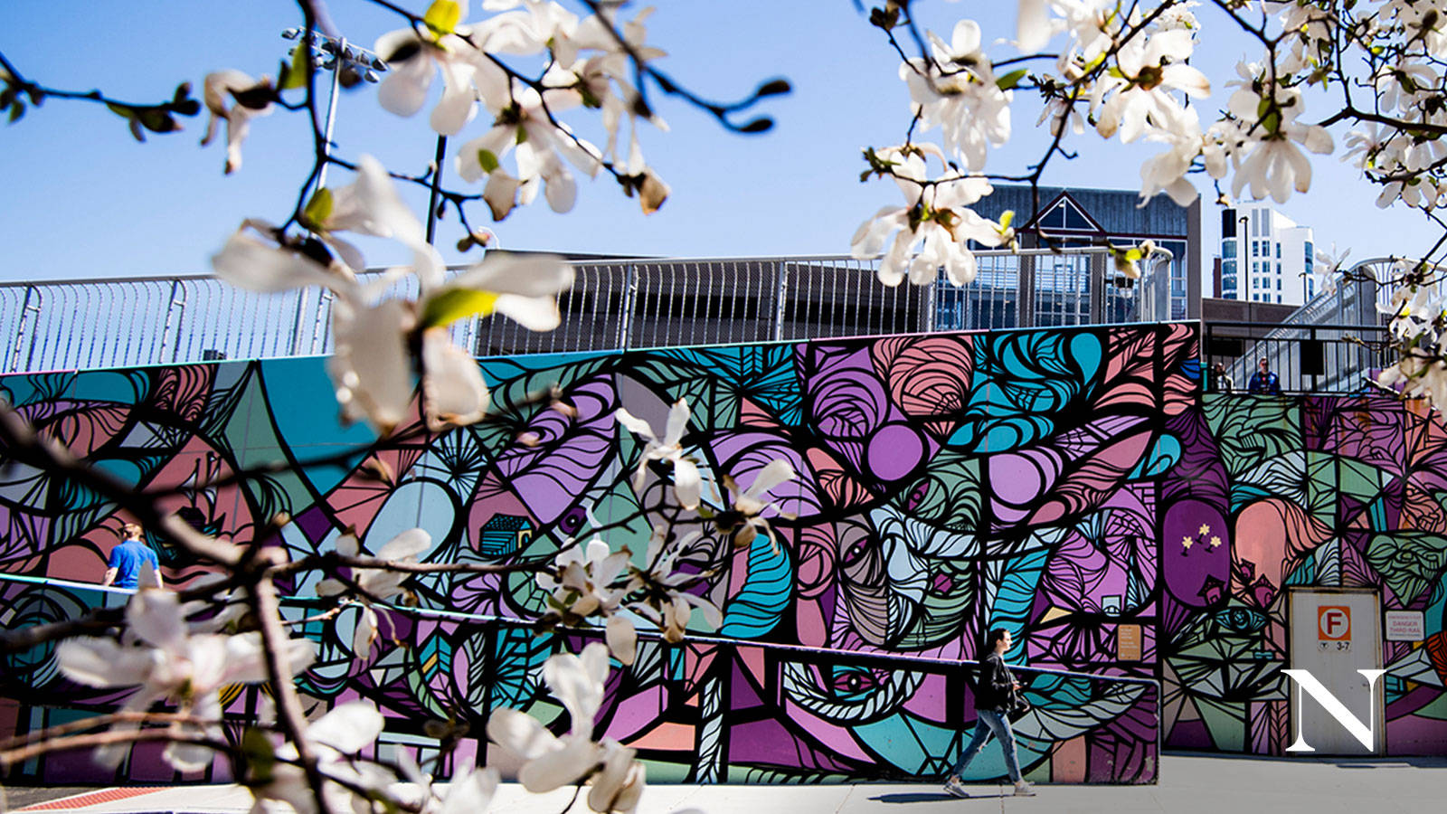 Northeastern University, white magnolia blossoms, vibrant stained-glass style mural, HD Desktop Wallpaper