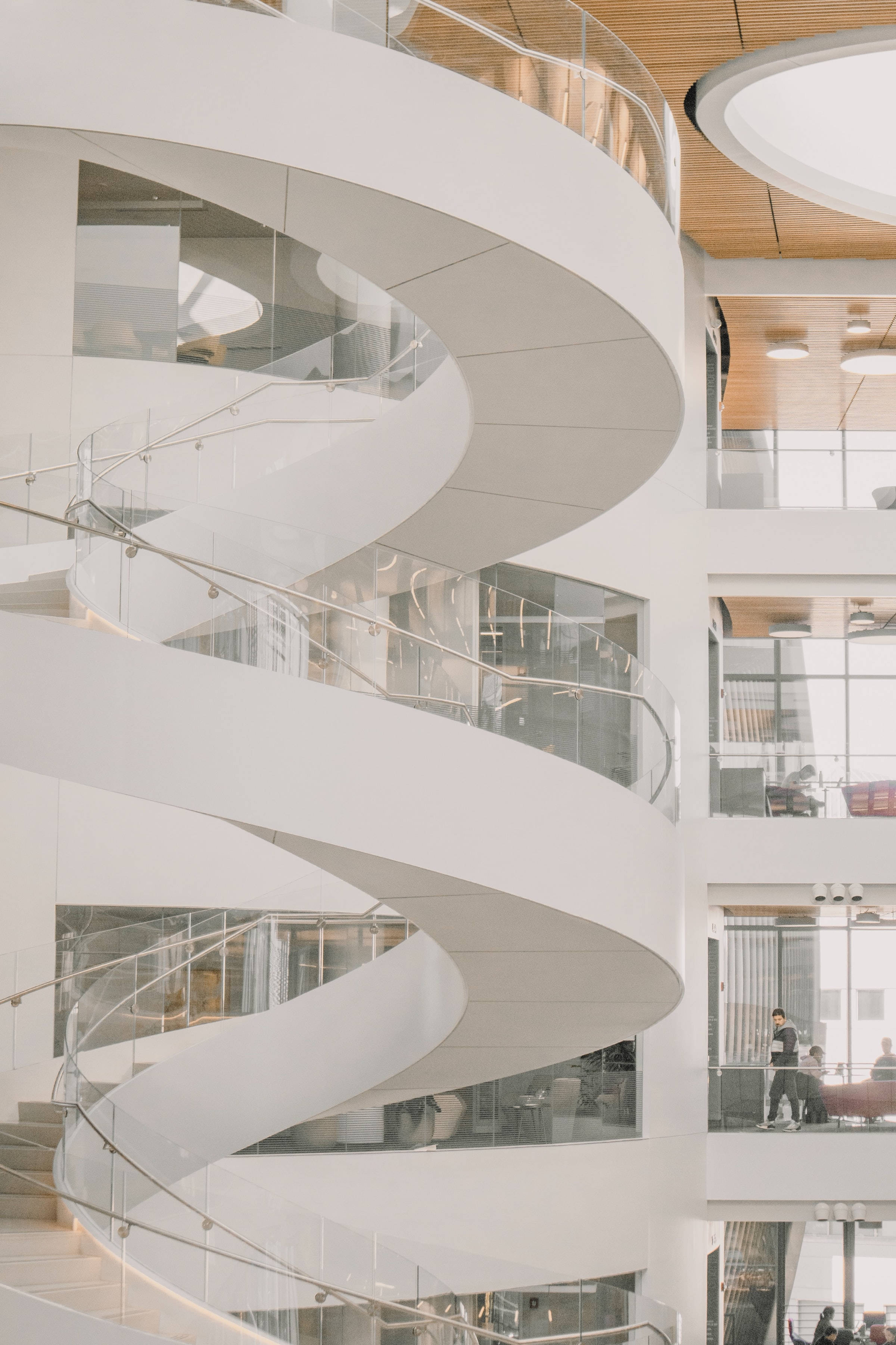 Northeastern University, sleek white spiral staircase, glass railings, 2K Phone Wallpaper
