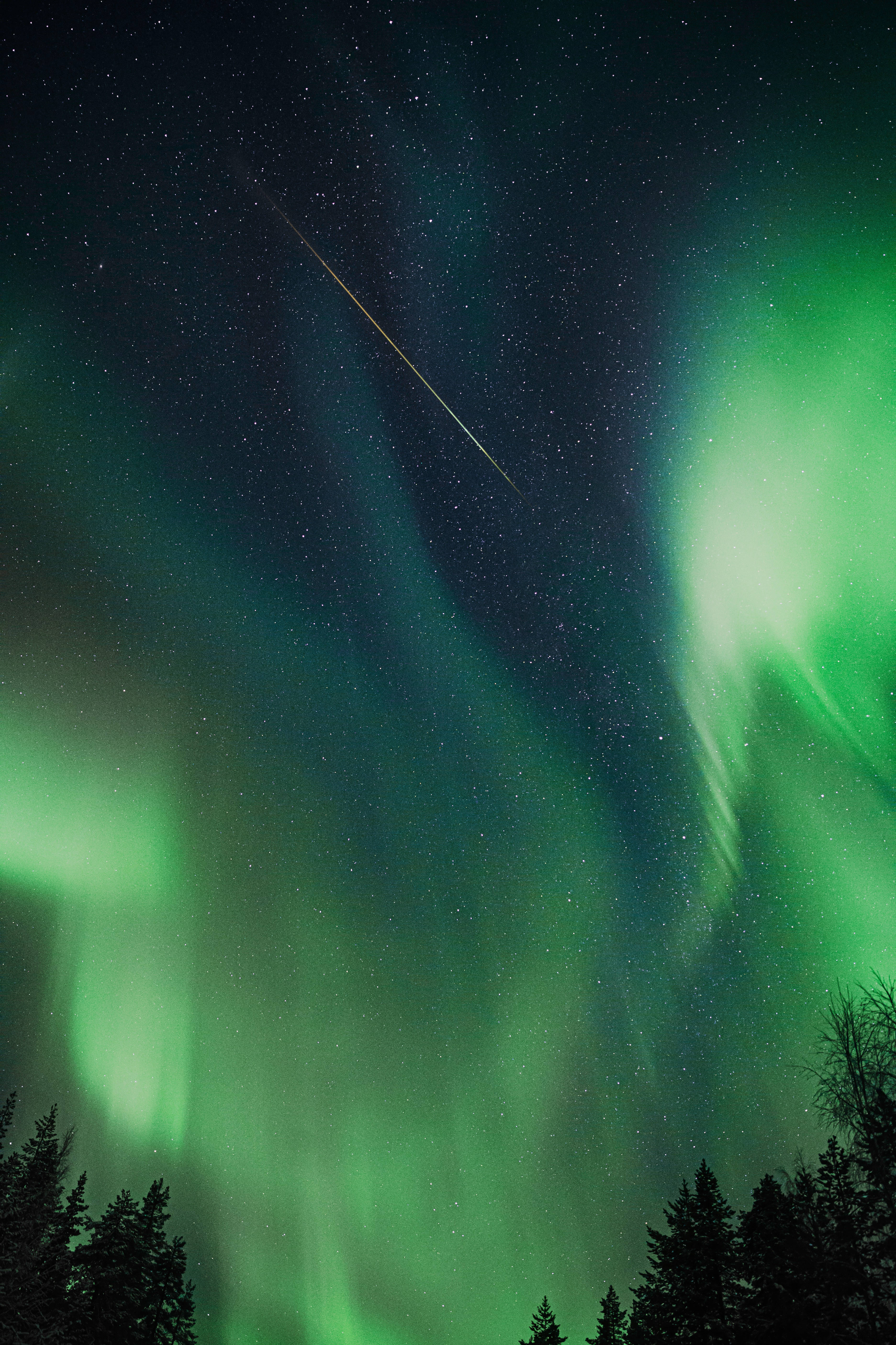 Northern Lights, aurora borealis, starry night sky, 5K Phone Wallpaper