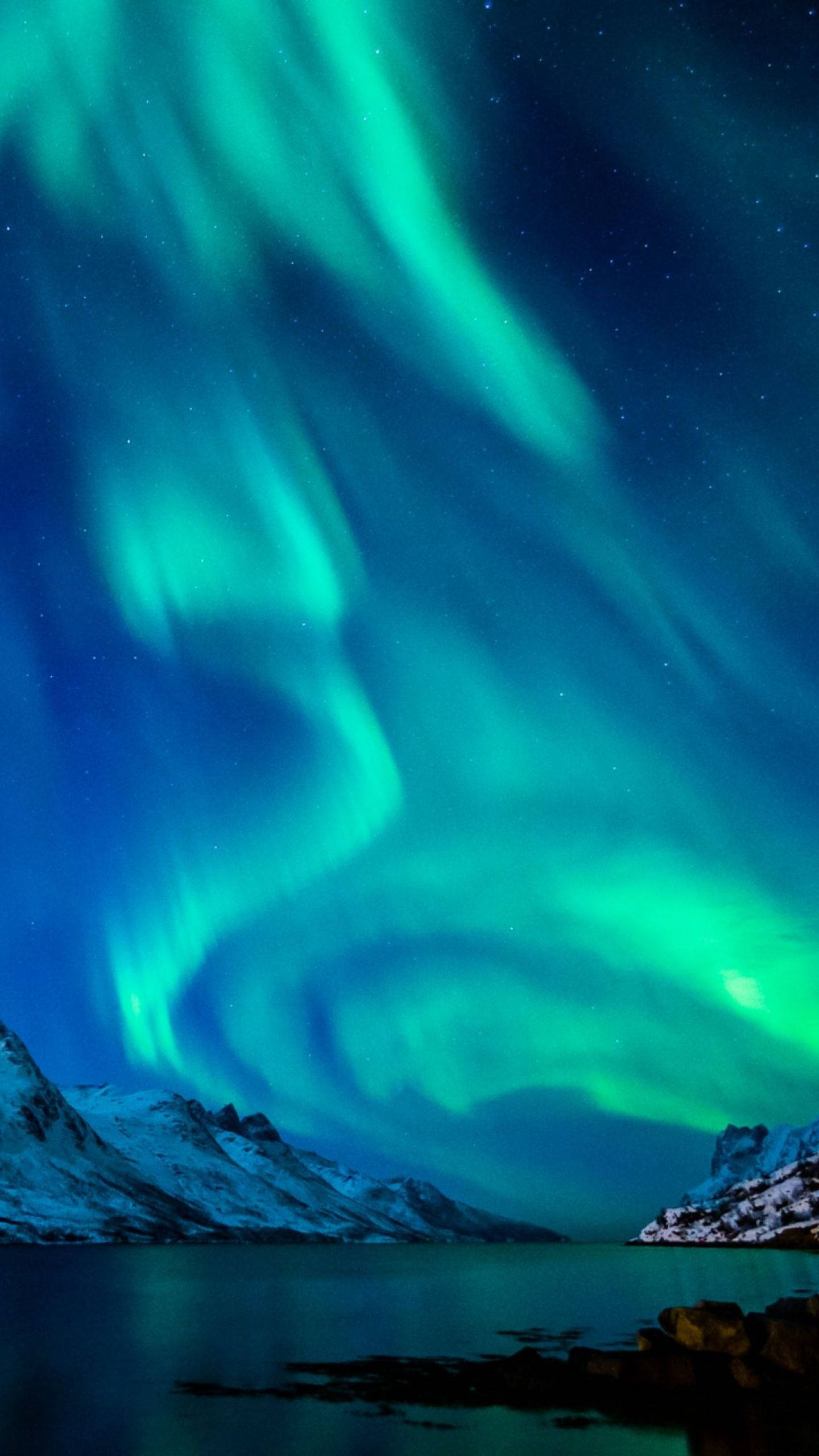 swirling green northern lights, aurora borealis, starry night sky, 2K Phone Wallpaper