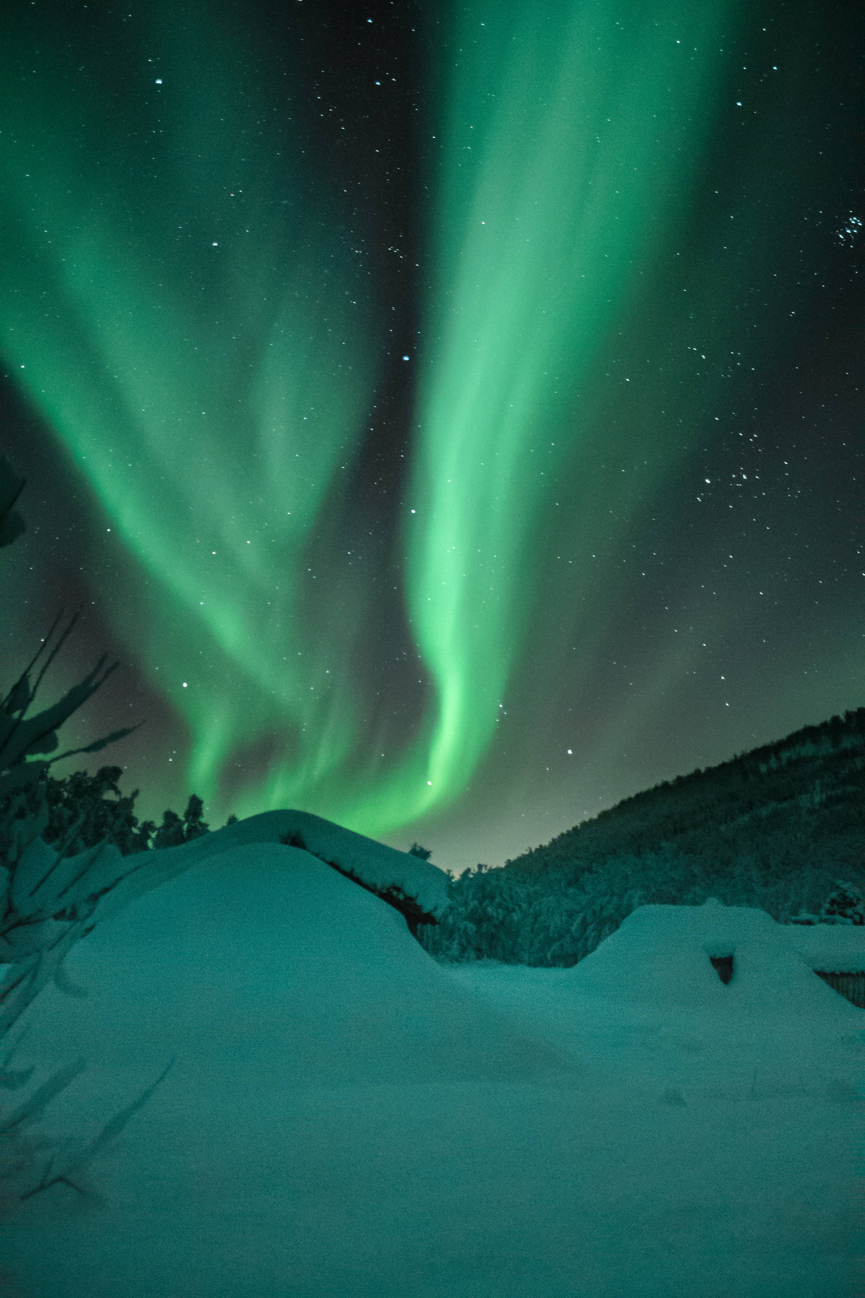 Northern Lights, aurora borealis, starry night sky, 4K Phone Wallpaper