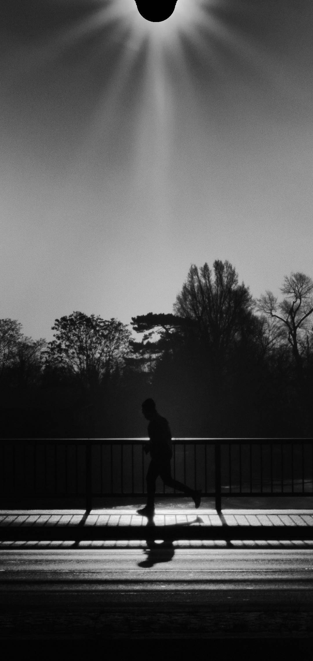 water drop notch, black and white, bridge, Full HD Phone Wallpaper