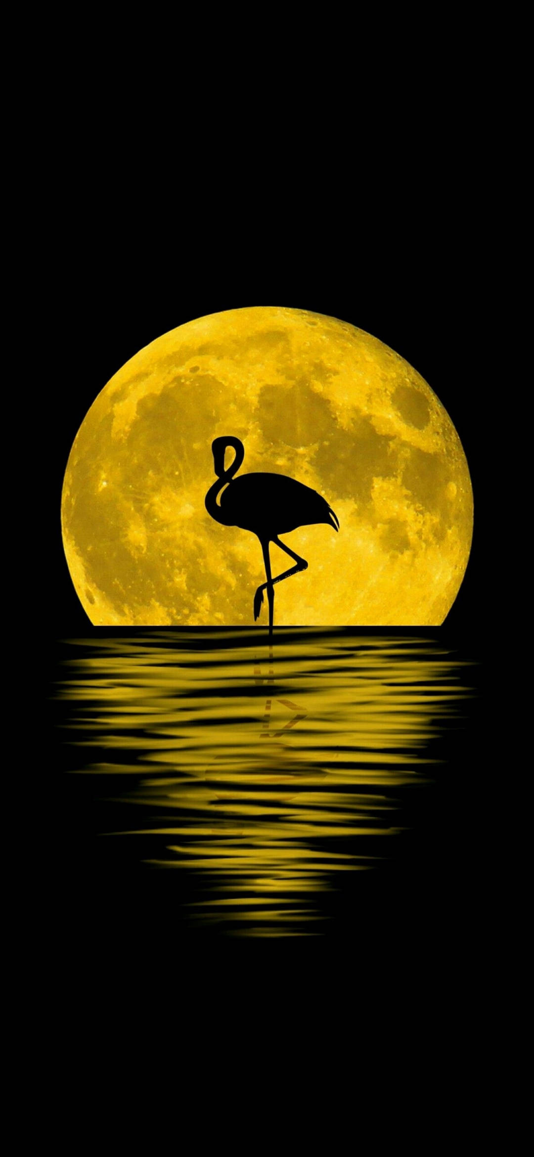 Note 10 Plus, flamingo, water, Full HD Phone Wallpaper