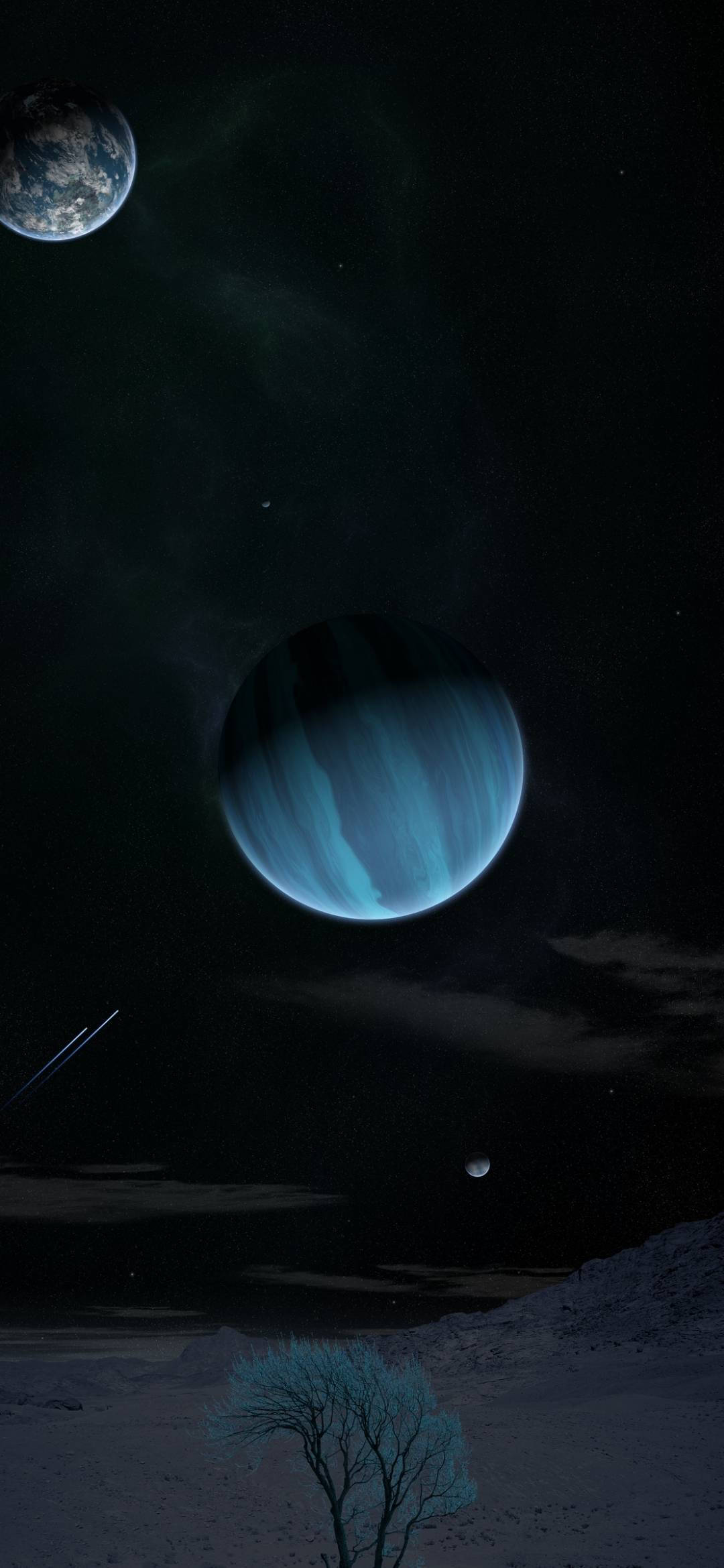 Note 10 Plus, blue-tinged tree, barren planet, Full HD Phone Wallpaper
