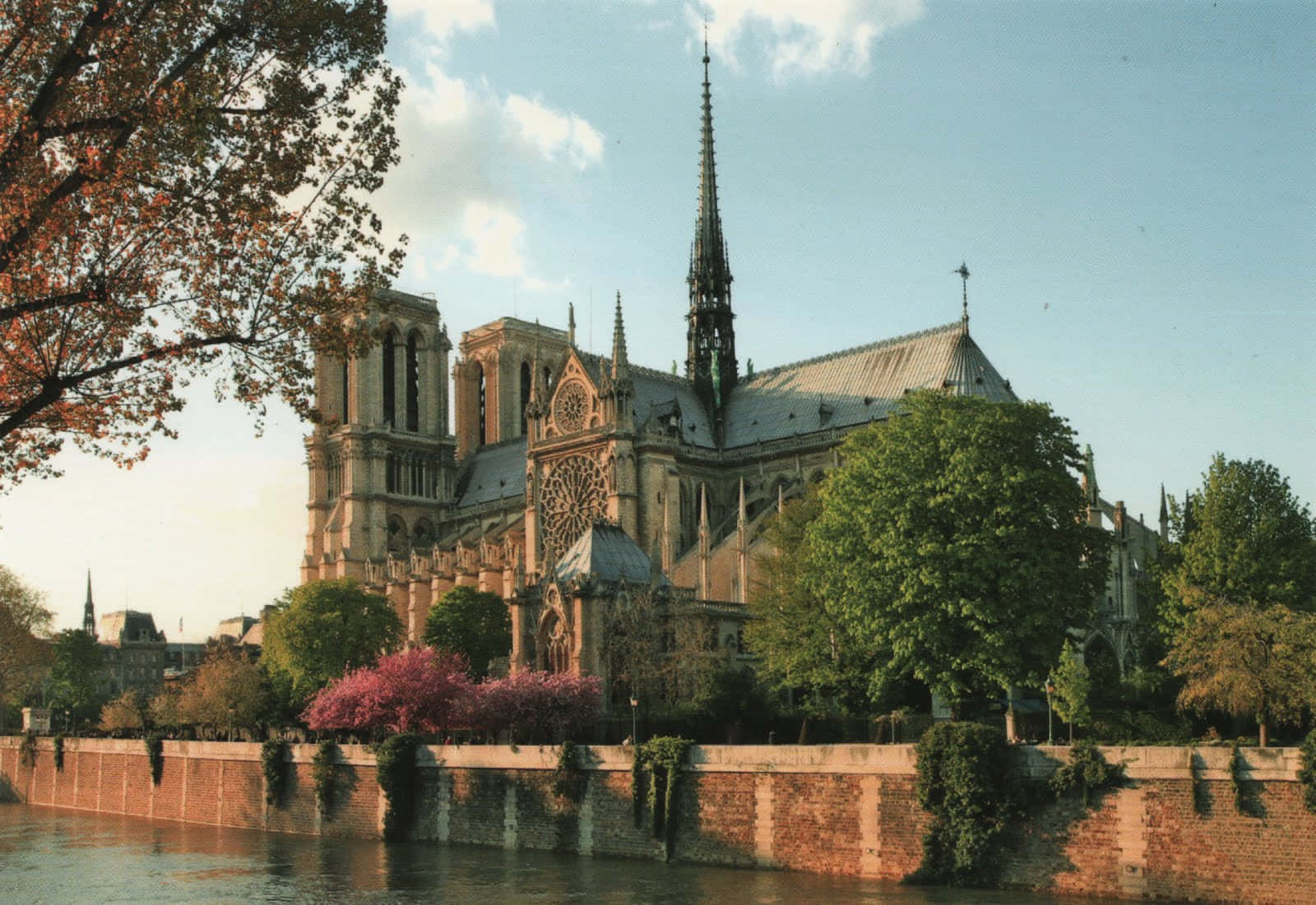 Notre Dame Cathedral, river, autumn trees, HD Desktop Wallpaper