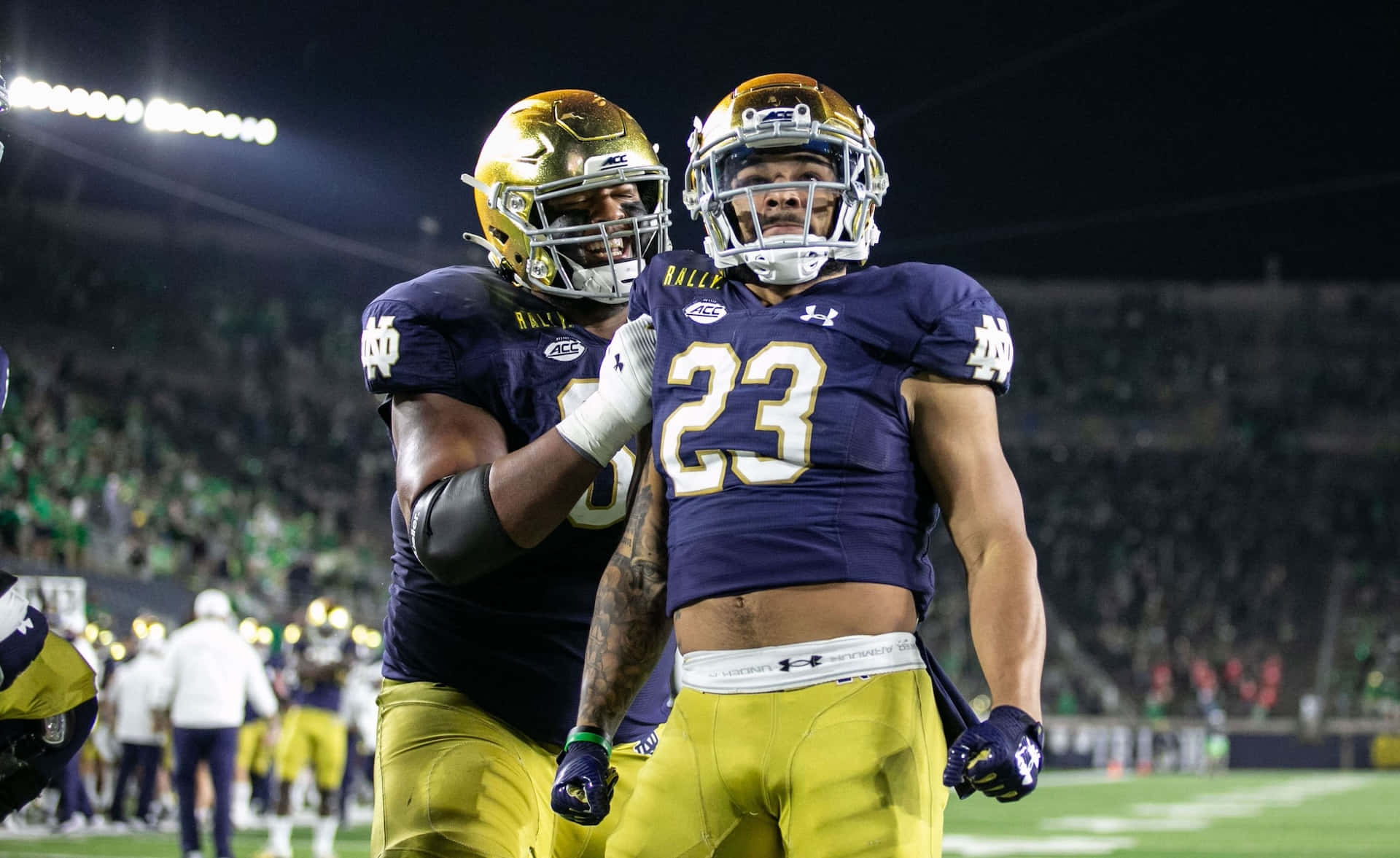 Notre Dame Football, purple and gold gear, lit field, Full HD Desktop Wallpaper