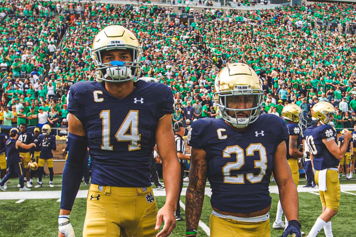 Notre Dame Football, navy and gold uniforms, field, SD Desktop Wallpaper
