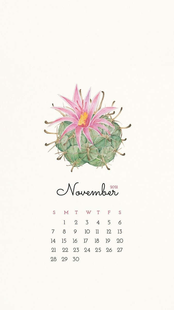 November 2021 Calendar, pink cactus flower, watercolor illustration, SD Phone Wallpaper