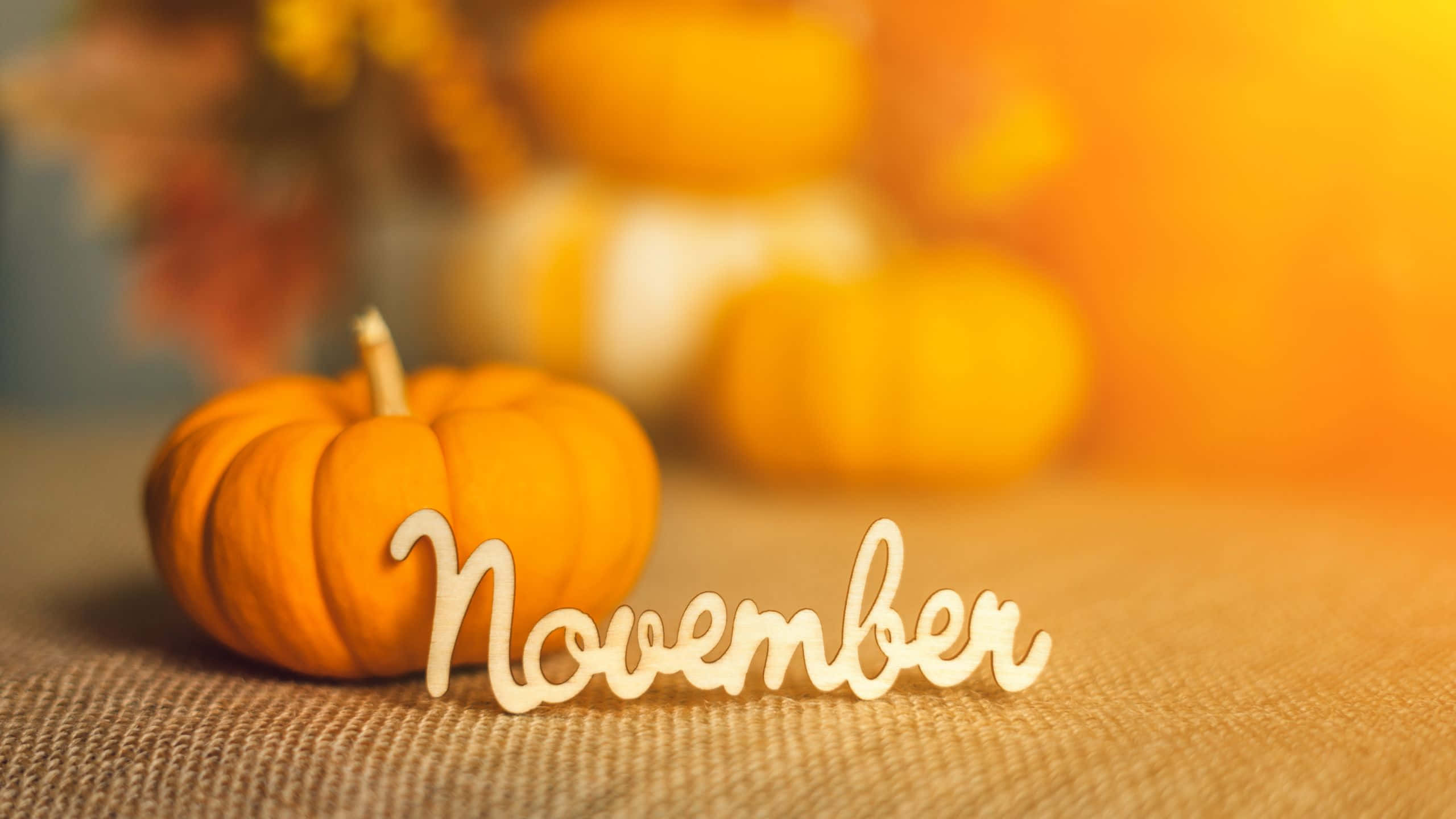 November, pumpkins, candle, 2K Desktop Wallpaper