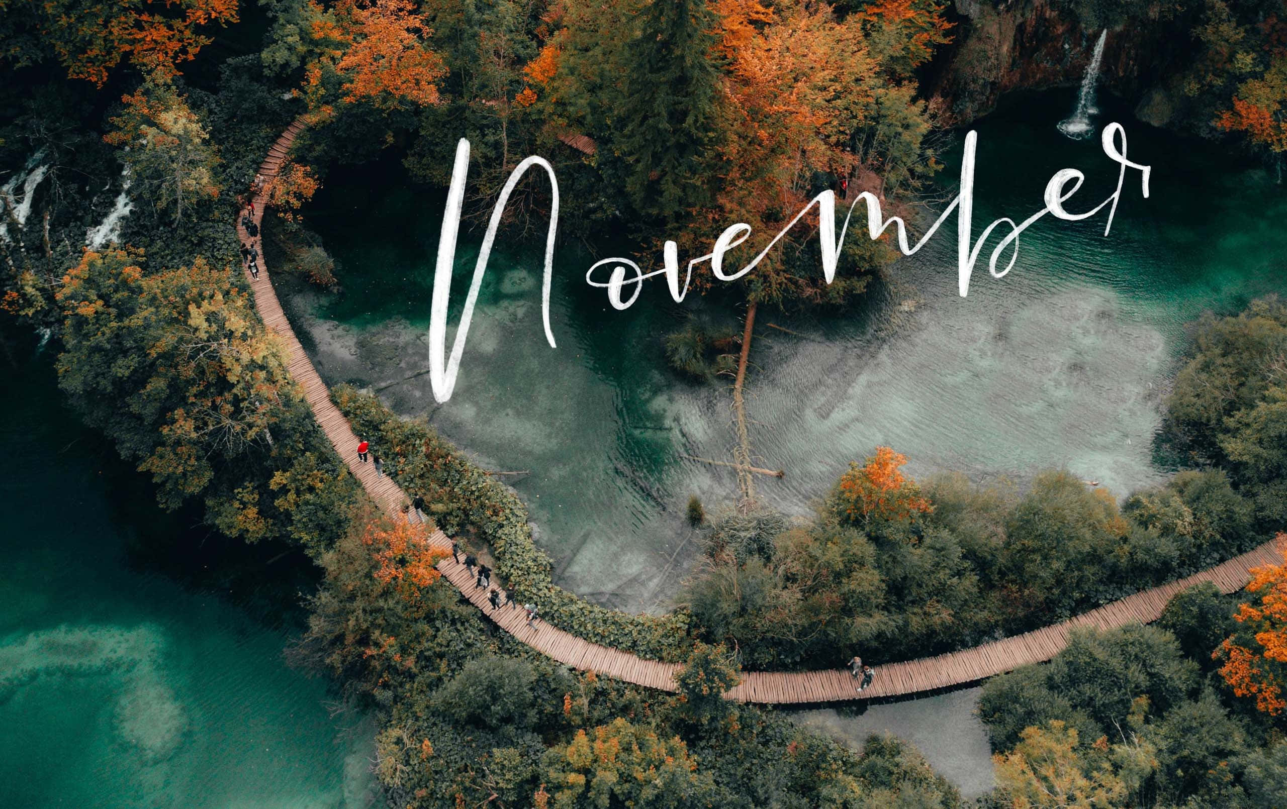 November, wooden boardwalk, autumn forest, 2K Desktop Wallpaper