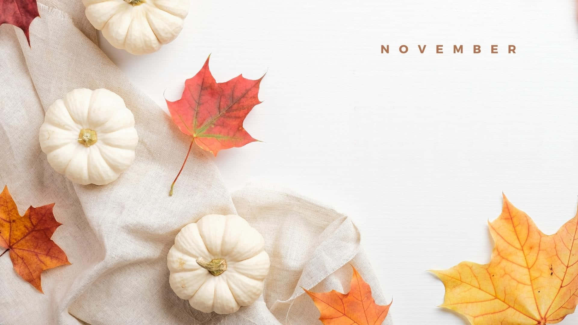 November Desktop, White pumpkin, vibrant autumn leaves, Full HD Desktop Wallpaper